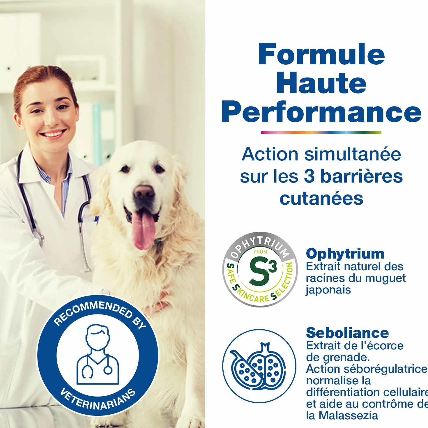 DOUXO S3 SEB Shampooing Anti-Odeur et séborégulateur, pour Chiens et Chats avec des pellicules, Poils Gras et Mauvaises odeurs pour Chiens et Chats, 500ml