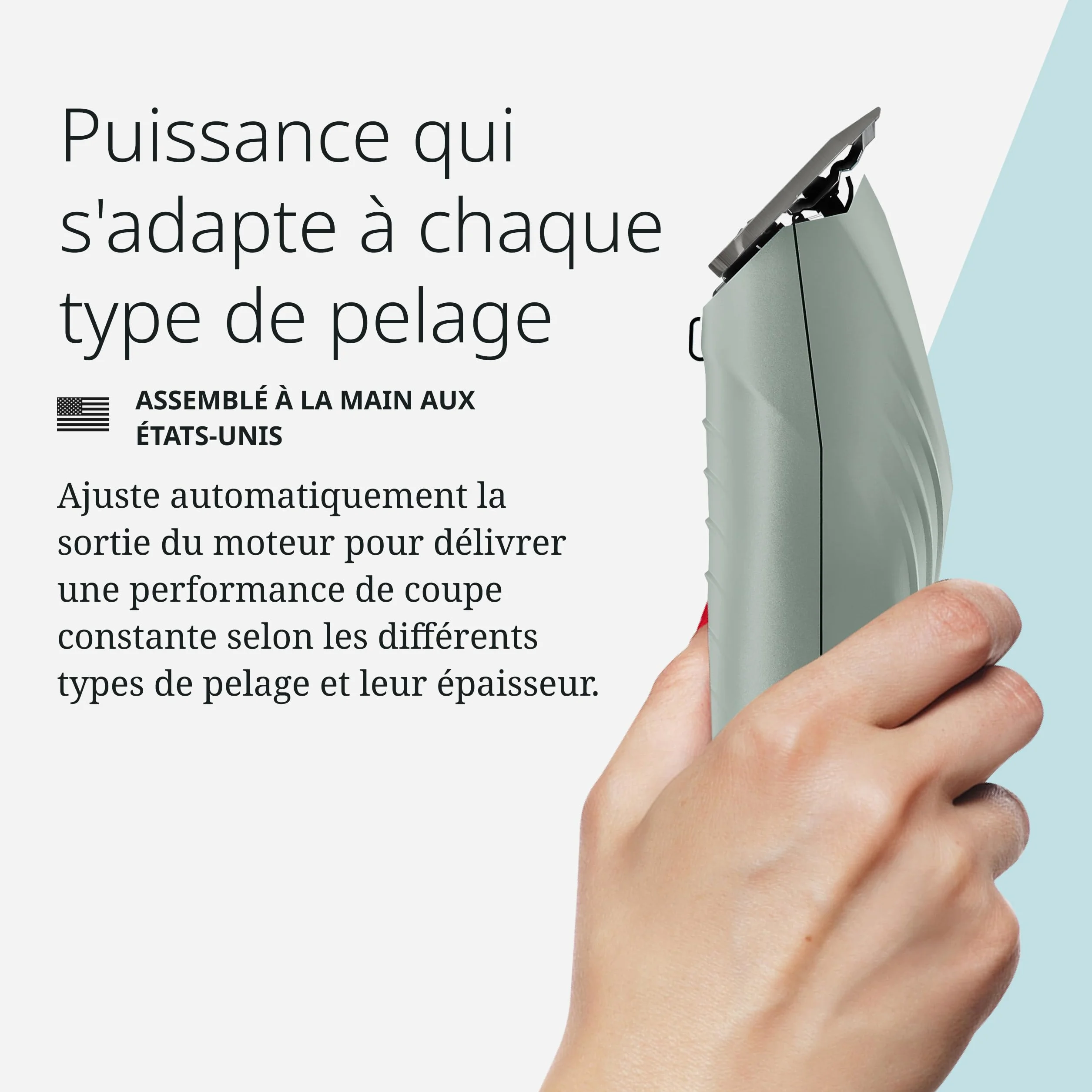 Wahl KMC+ Tondeuse Animaux Moteur Sans Brosse 120 Minutes Autonomie
