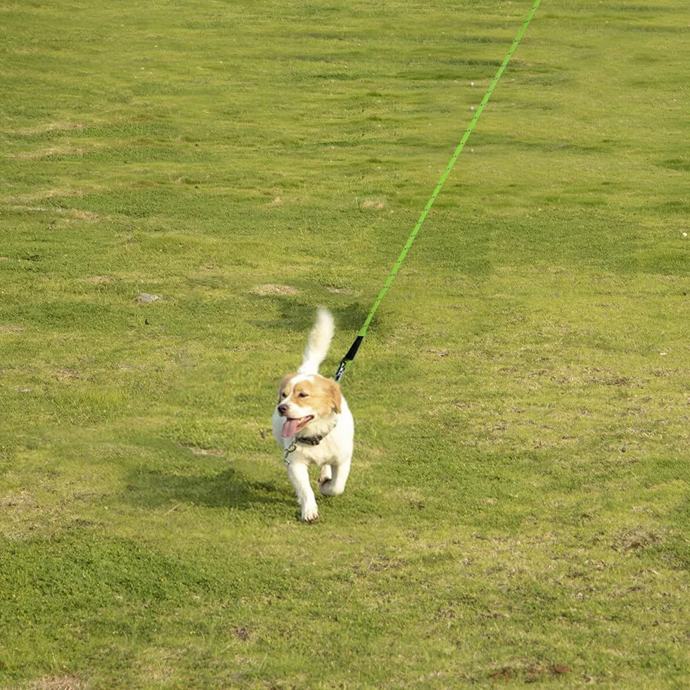 Vivifying Longue Laisse Flottante Réfléchissante pour Chien avec Poignée Souple Vert