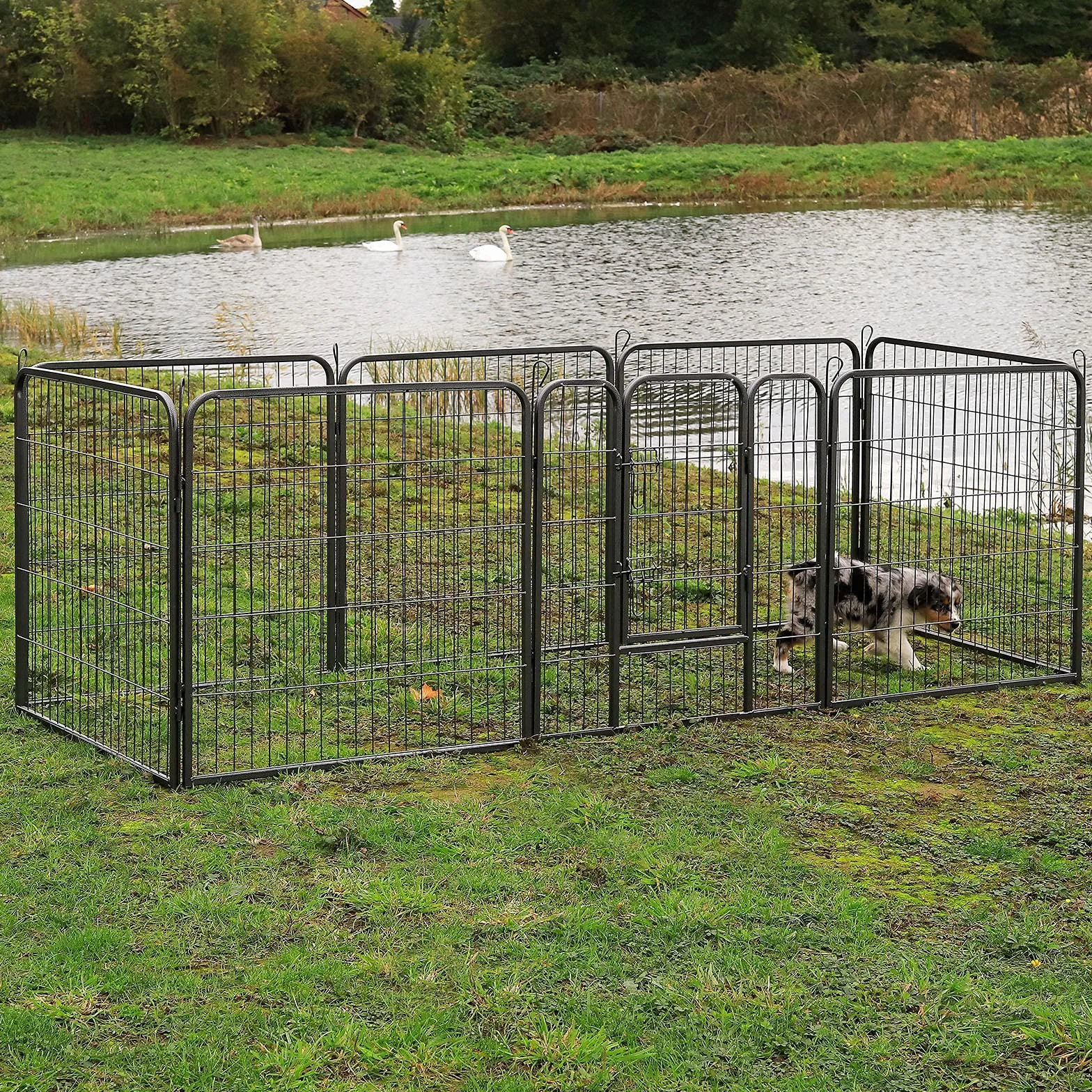Lionto Enclos pour Chiots Métal Robuste 80x80 cm Parc Extensible avec Porte Verrouillable Résistant aux Intempéries 8 Éléments