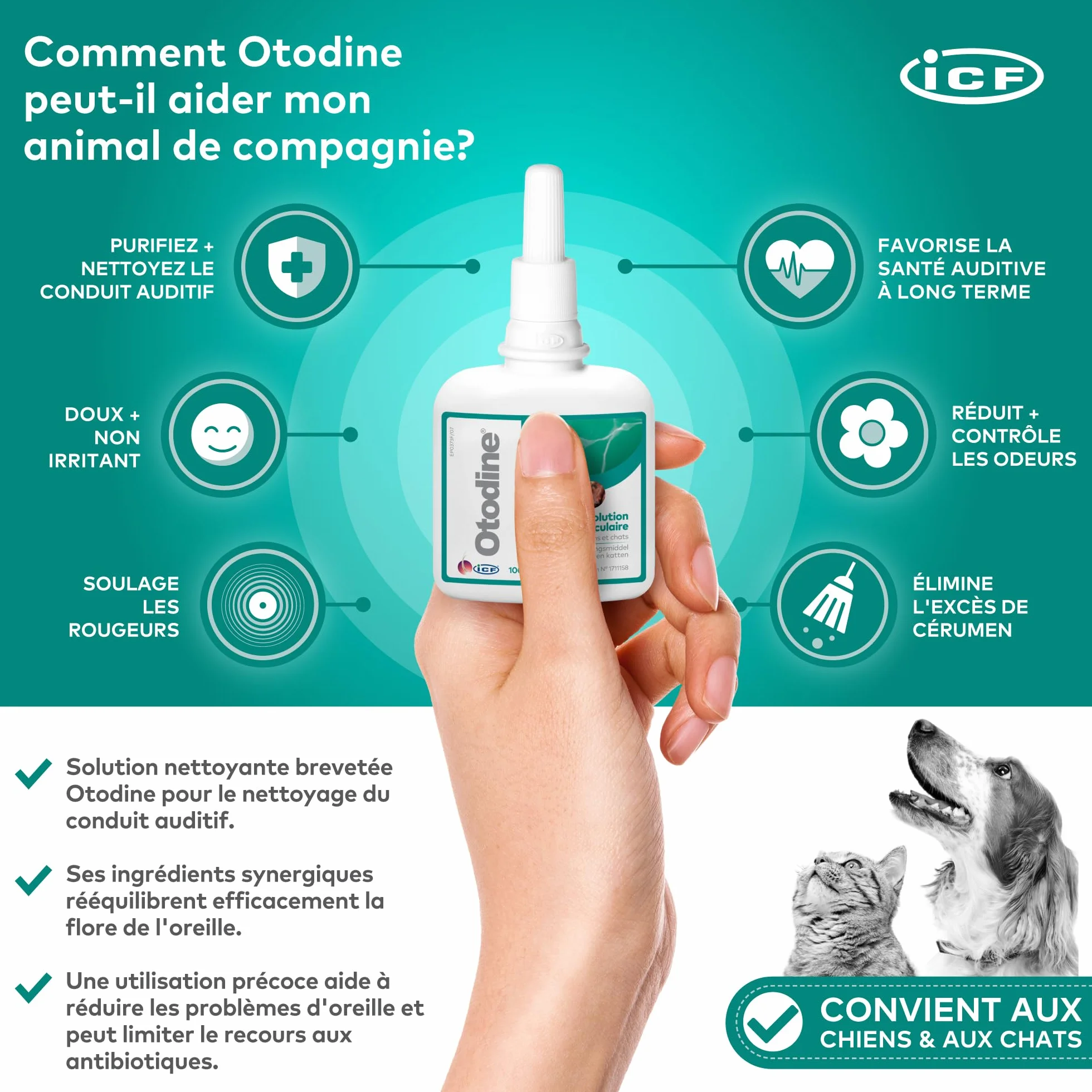 ICF Otodine Nettoyant Oreille Chien Chat 100ml
