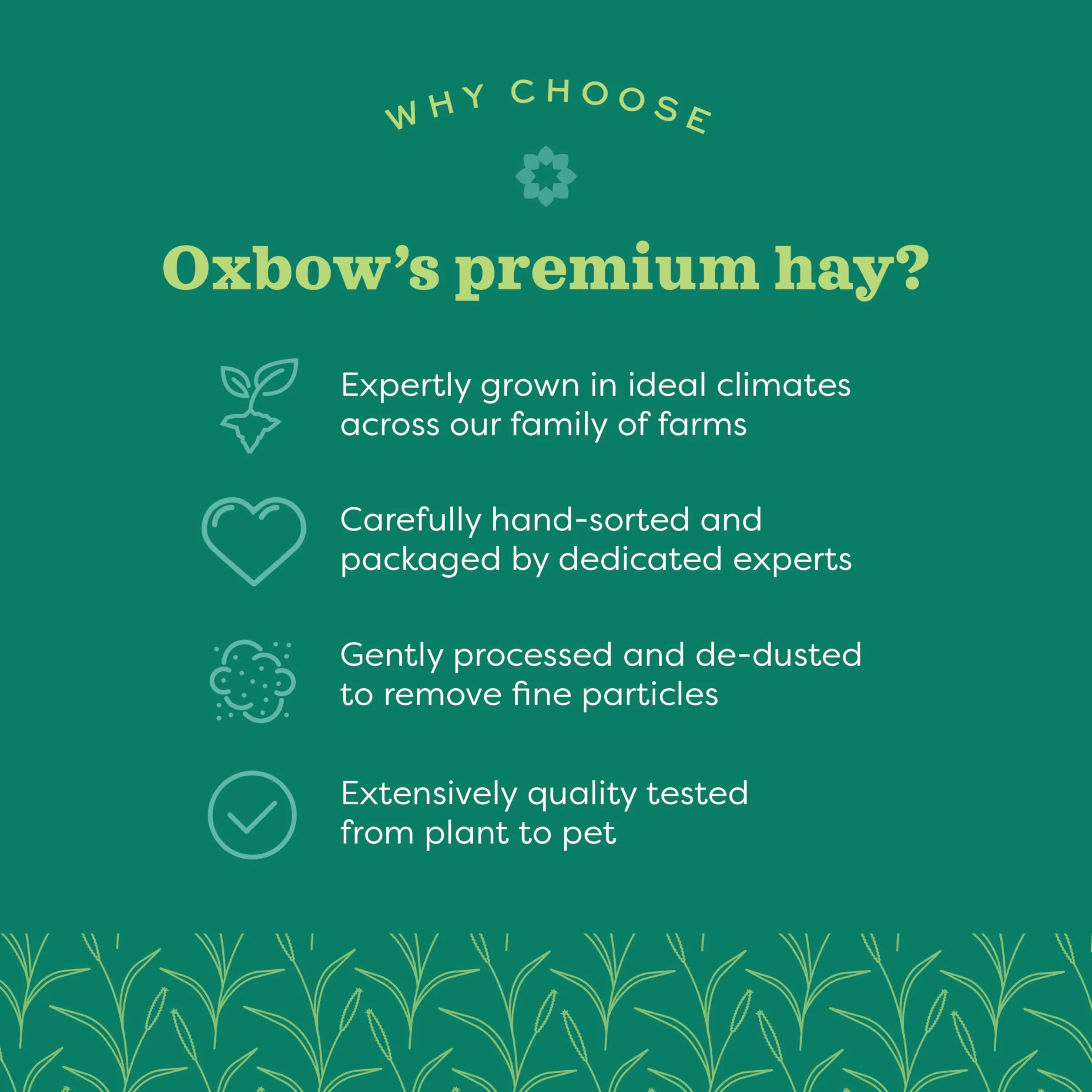 Oxbow Foin Western Timothy 2,55 kg