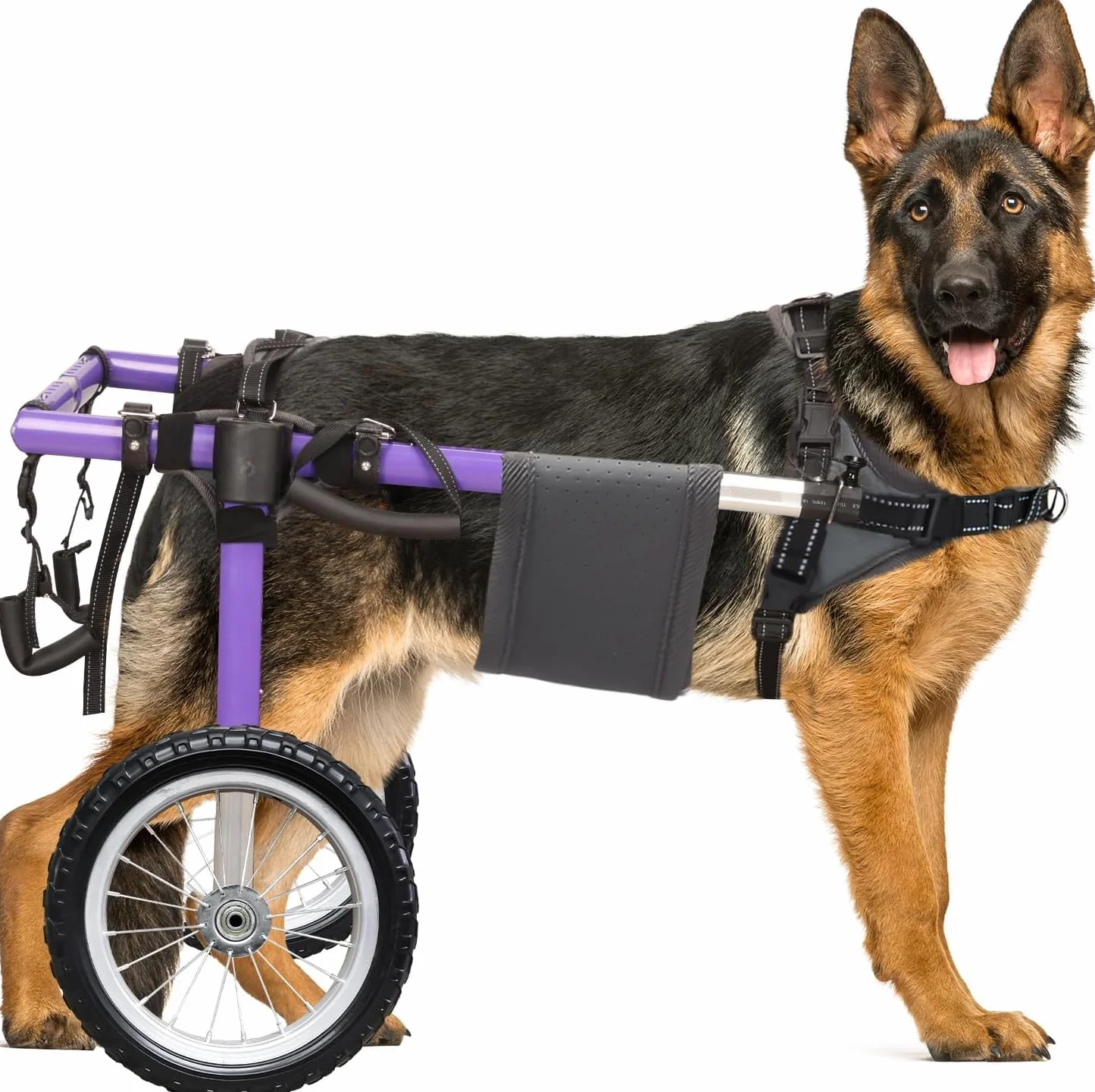 Fauteuil roulant pour chien pour pattes arrière - Fauteuil roulant pour chien