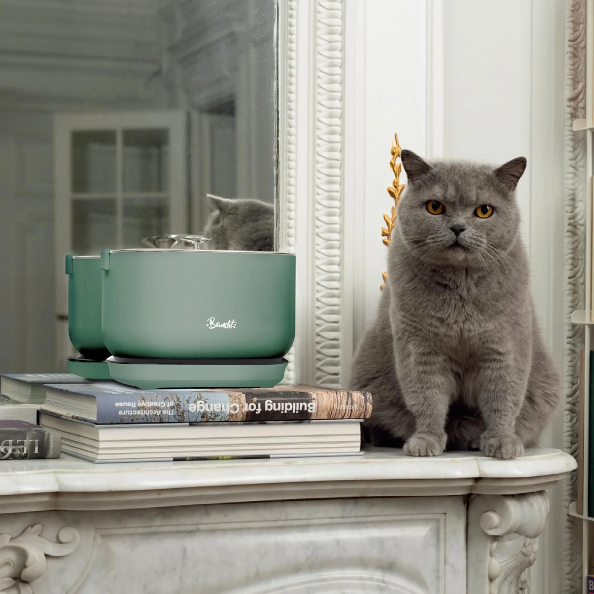 Fontaine à Eau sans Fil pour Chat 2,5L Acier Inoxydable Ultra silencieuse 30dB Détecteur de Mouvement Intelligent