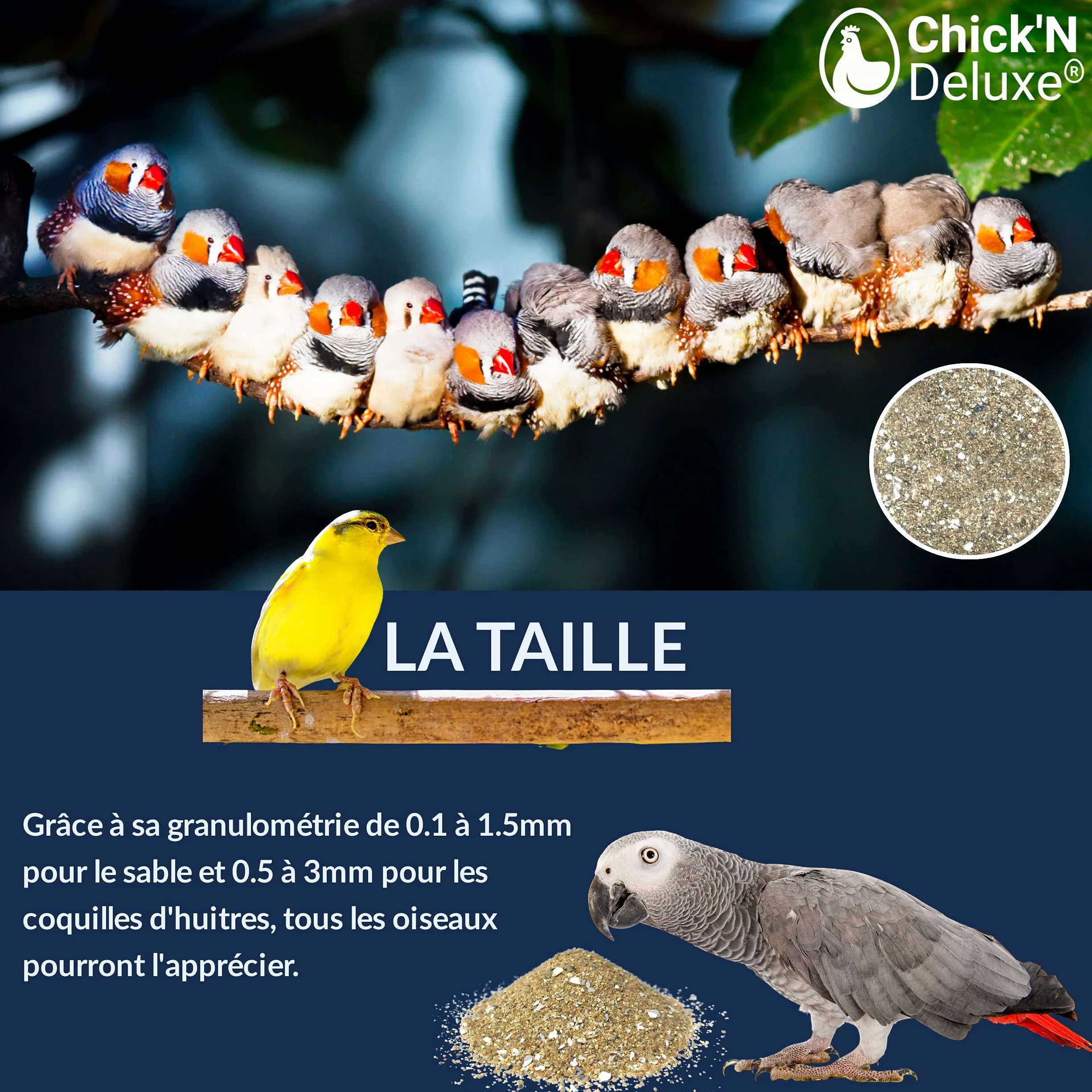 Chick'N Deluxe Sable Marin 5Kg Fond de Cage Oiseaux Enrichi Coquilles Huitres Broyées Aromatisé Anis 100% Naturel