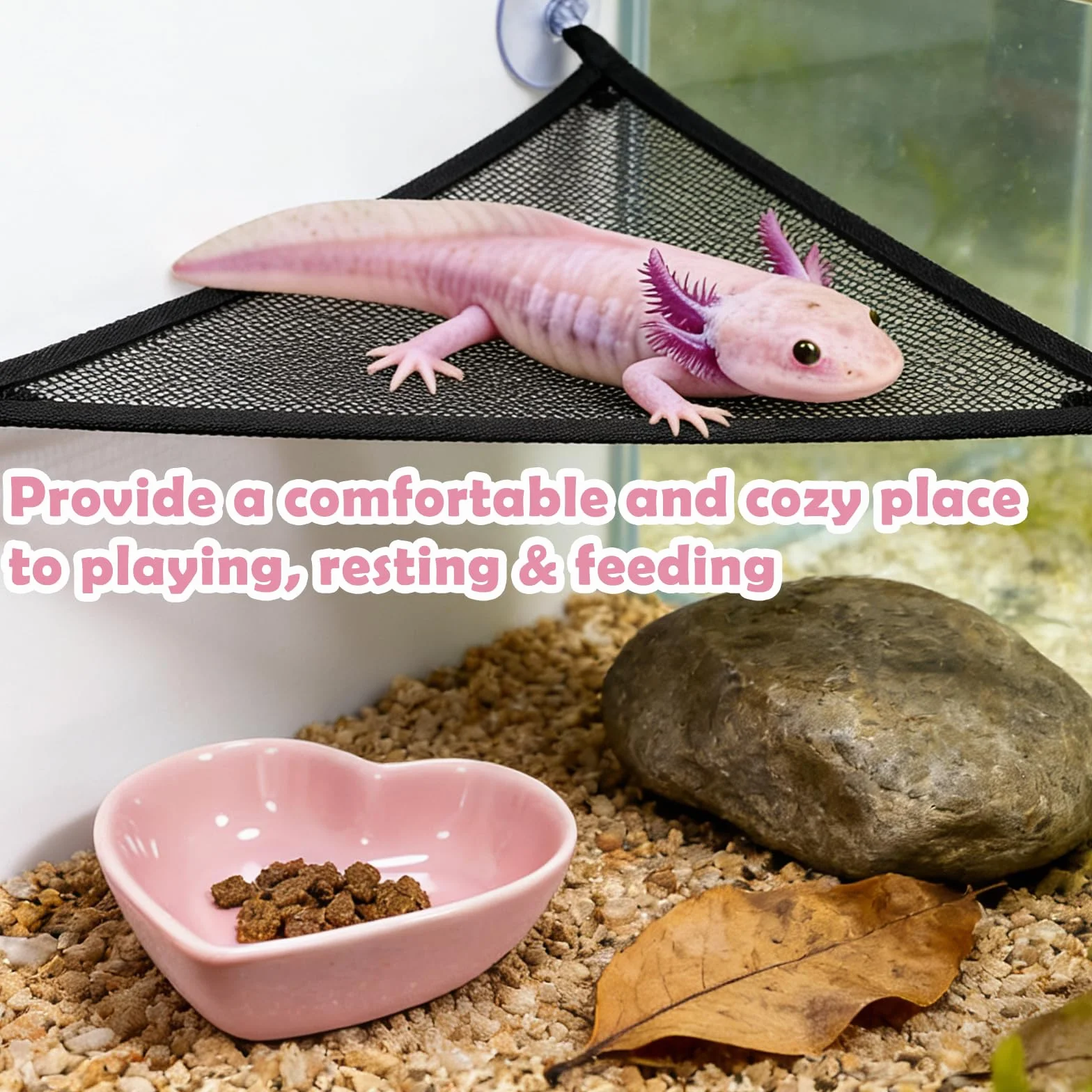Axolotl Hamac pour aquarium avec gamelle, accessoires de réservoir Axolotl – Hamac en maille respirante pour reptiles avec plateau d'alimentation pour dragons barbu, geckos, lézards, serpents