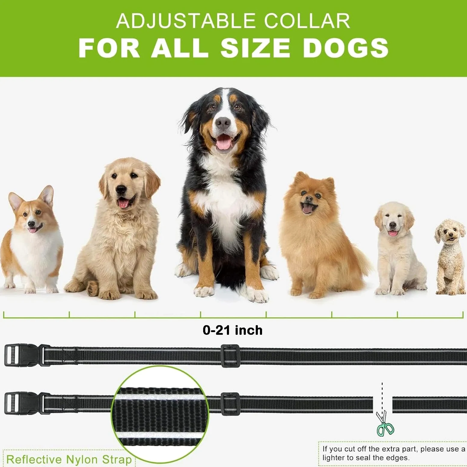 Collier lumineux pour chien (design à double sangle), luminosité réglable, collier pour chien rechargeable (noir)