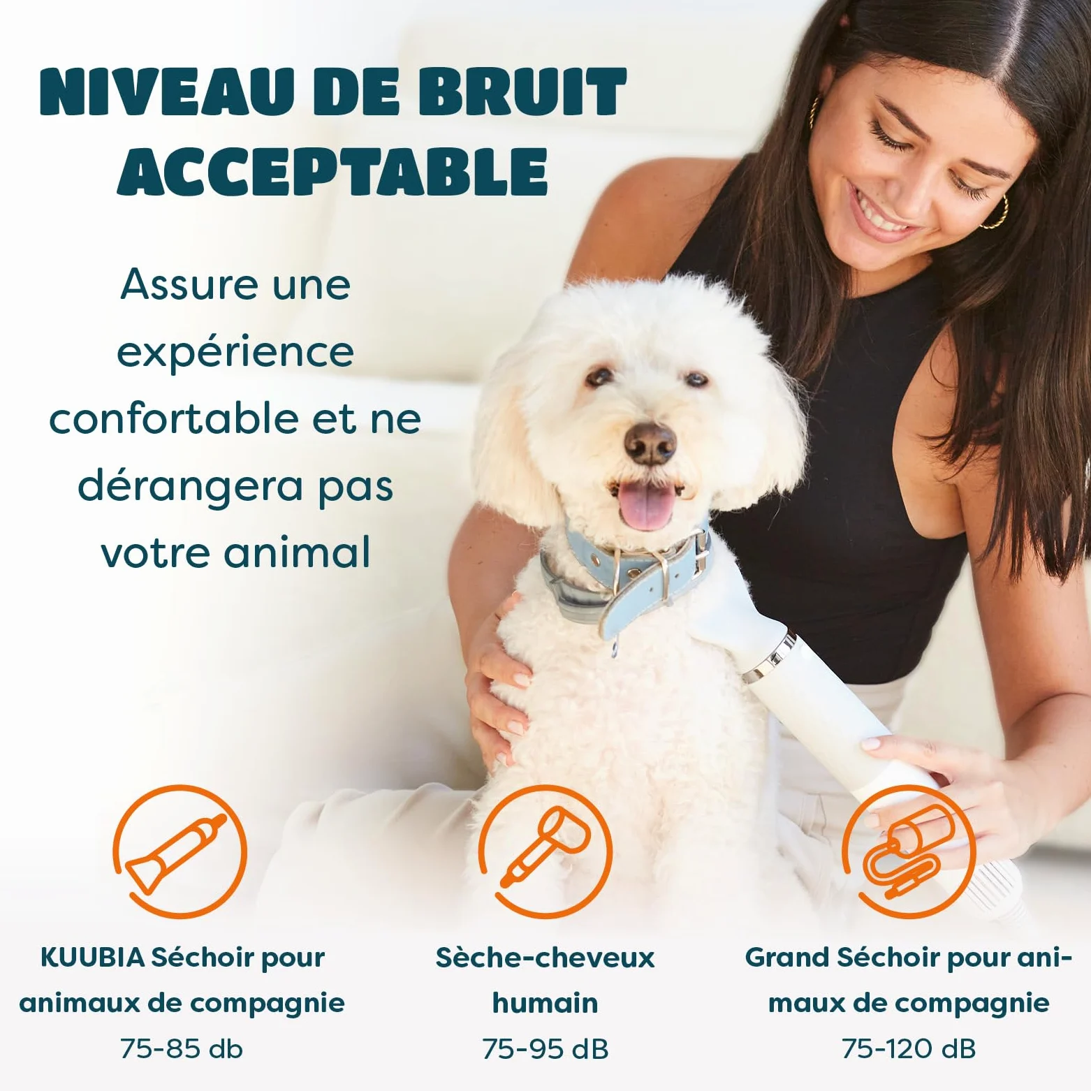 KUUBIA Séchoir 5 en 1 Pour Chien et Chat | Pulseur Avec Brosse Slicker | Sèche Poils Puissant 900 W | Portable, Silencieux, Ions Négatifs, NTC