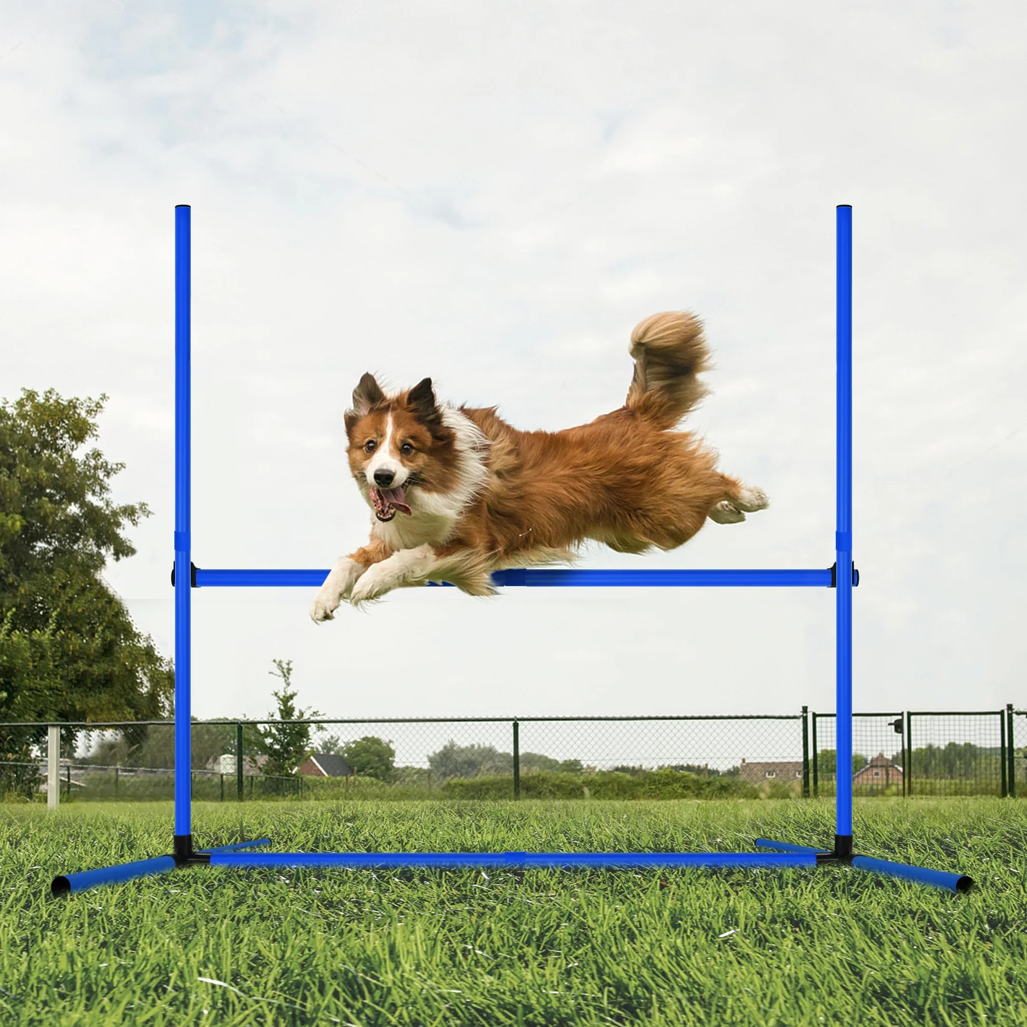 Froadp Agility Lot de 4 obstacles pour chiens - Slalom - Barres réglables en hauteur - 104 x 70 x 101 cm - Bleu
