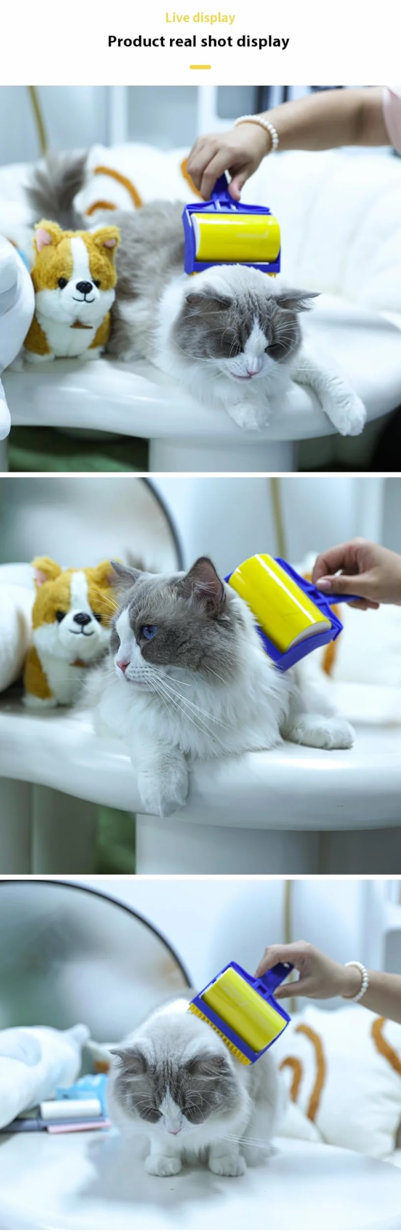 Spirado Brosse à Poils d'Animaux pour Chat