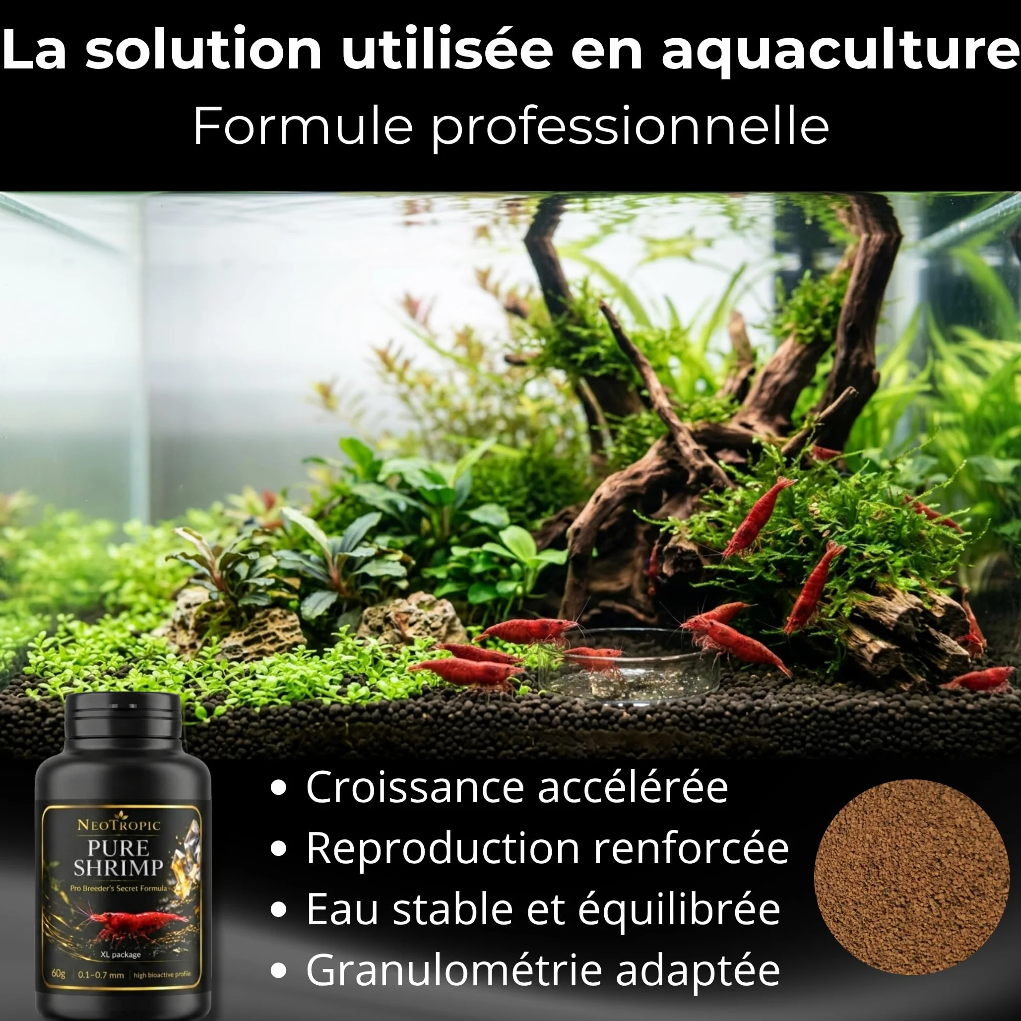 NEOTROPIC Pure Shrimp Pro Formula Nourriture Crevettes Aquarium Micro-granulés 60g