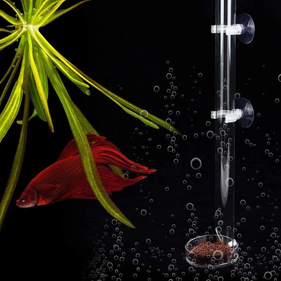 Tube d'alimentation Crevette Acrylique Transparent pour Aquarium 20cm