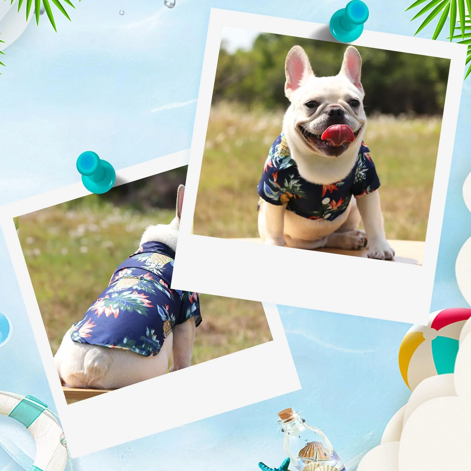 Chemise Hawaïenne pour Chien Azul Marino XL