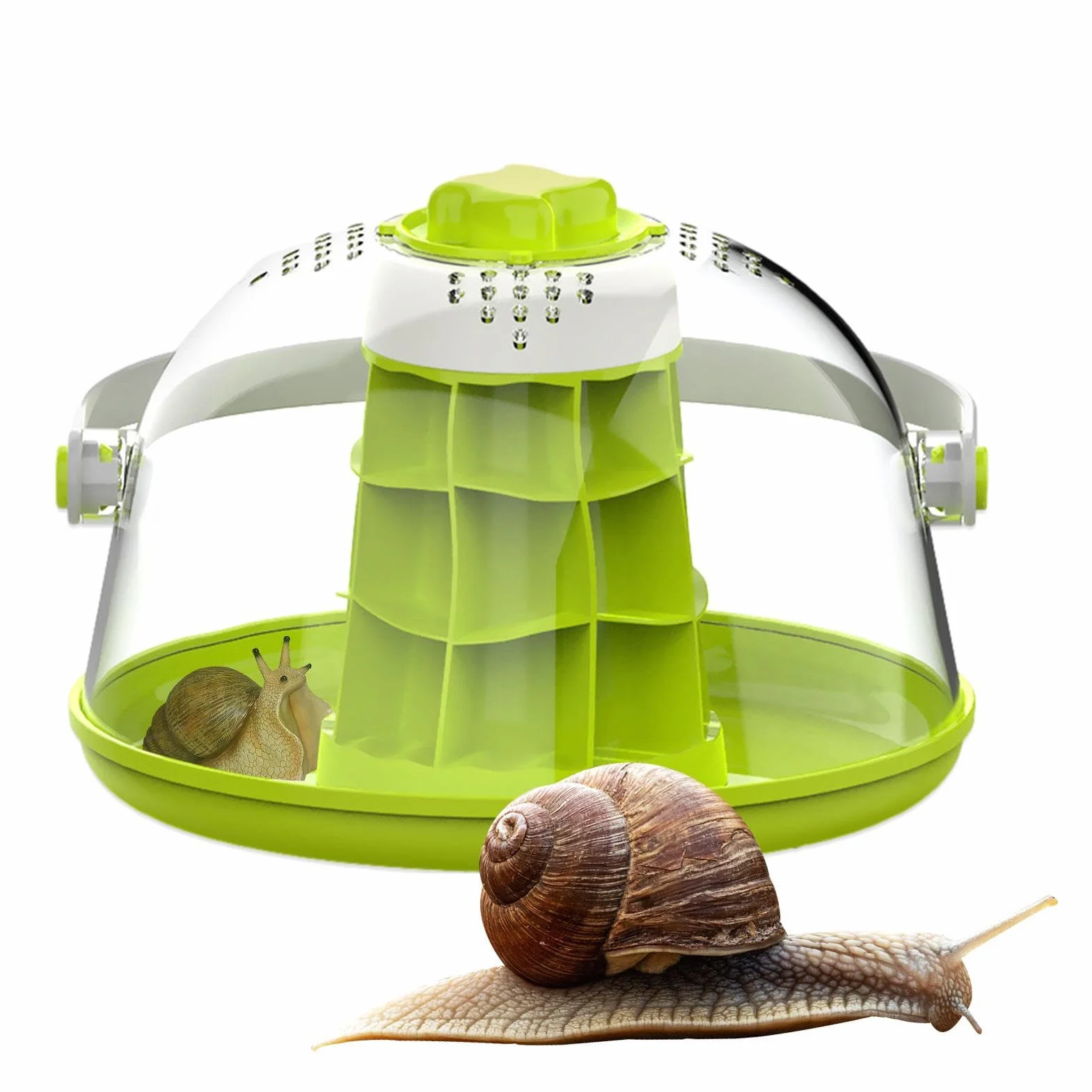 Terrarium en Verre pour Reptiles, Boîte d'Élevage Légère et Respirante pour Escargots, Tortues