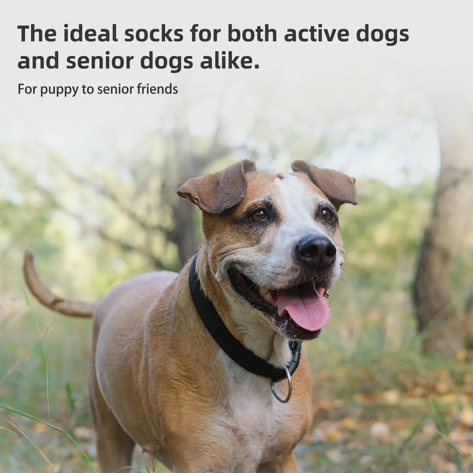 PUPTECK Chaussettes antidérapantes pour Chien Double Face Chausson Chiens Petite Moyenne Grande Taille planchers Bois Dur empêchant Léchage