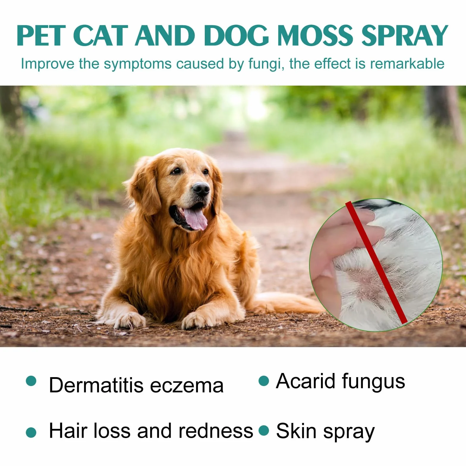 Spray Antiseptique pour Chiens et Chats, Soin des Plaies, Cicatrisation, 1PC