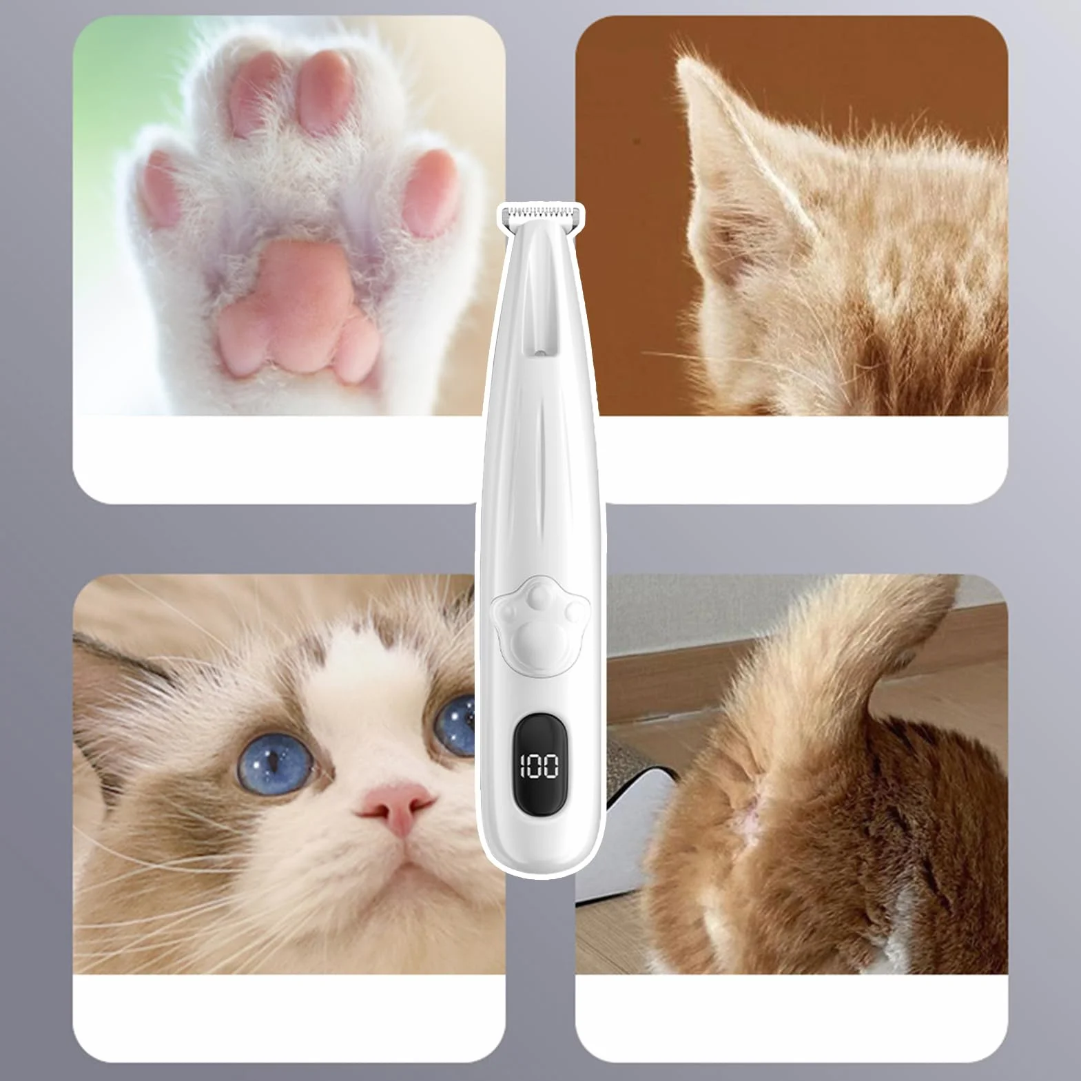 Tondeuse pour Chats et Animaux de Compagnie - Appareil de Toilettage Étanche Rechargeable