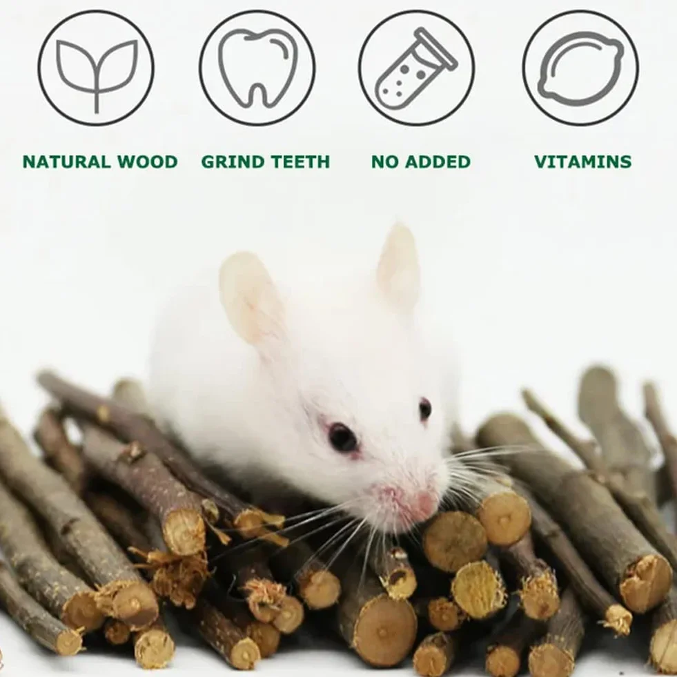 Bâtonnets de Pomme pour Animaux de Compagnie, Bâton à Mâcher De Pomme,Branche De Pomme Molaire,Petit Jouet pour Animaux De Compagnie,pour Chinchilla Cobaye Hamster Lapin