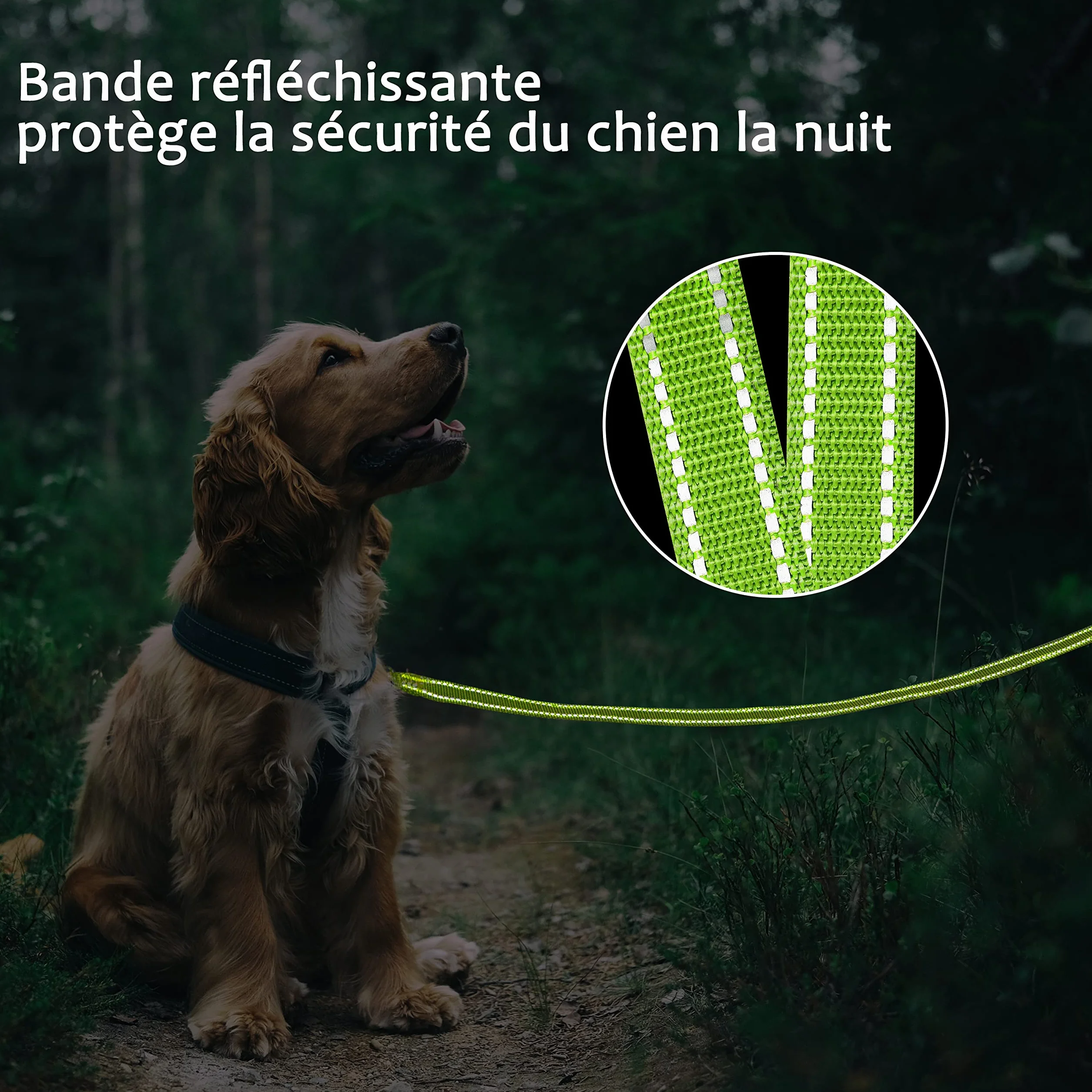 COMSLE Longe pour Chien Réfléchissante 3m 5m 10m 15m 20m avec Poignée Rembourrée