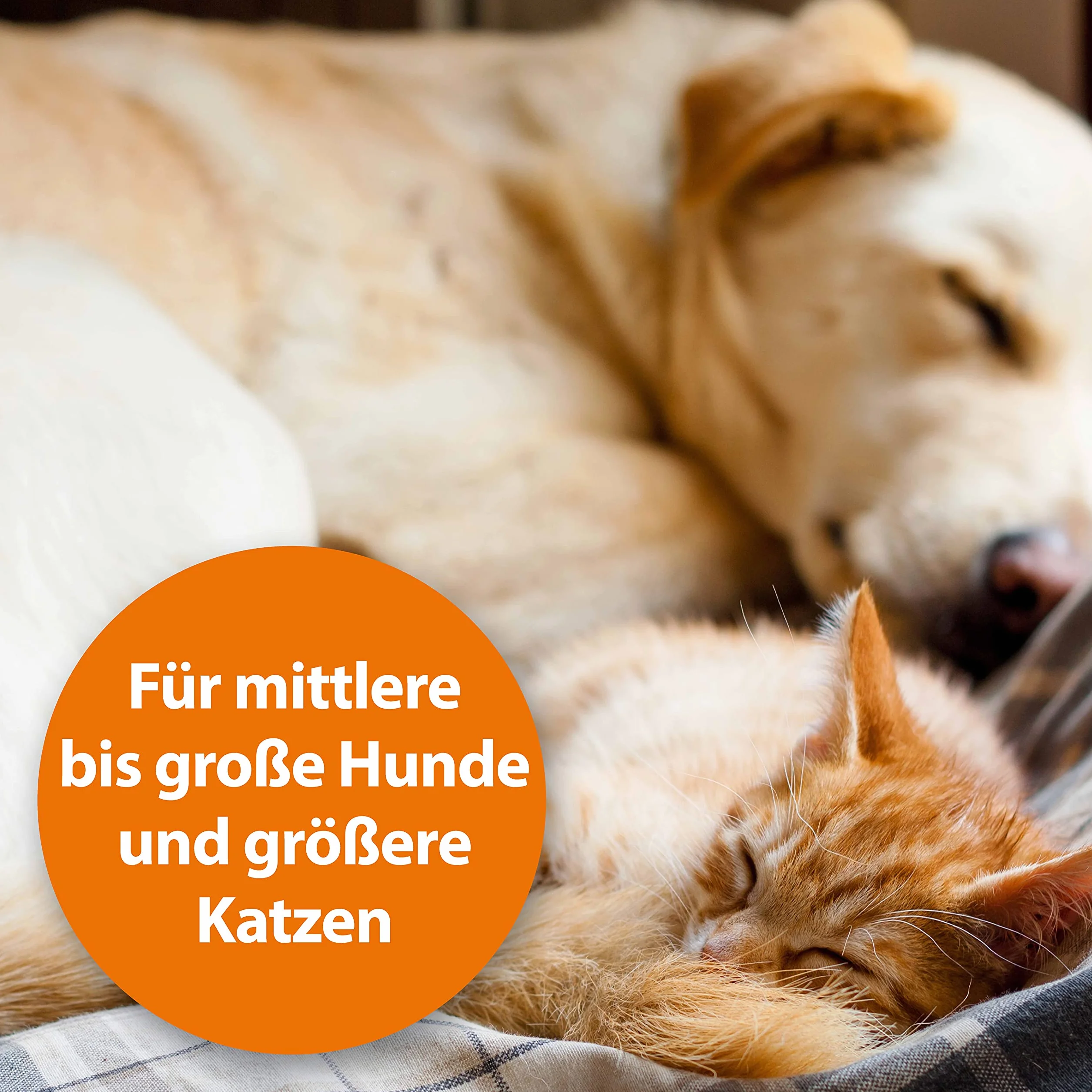 ARDAP Peigne anti-puces et poussière pour chiens et chats - Efficace contre puces et poux