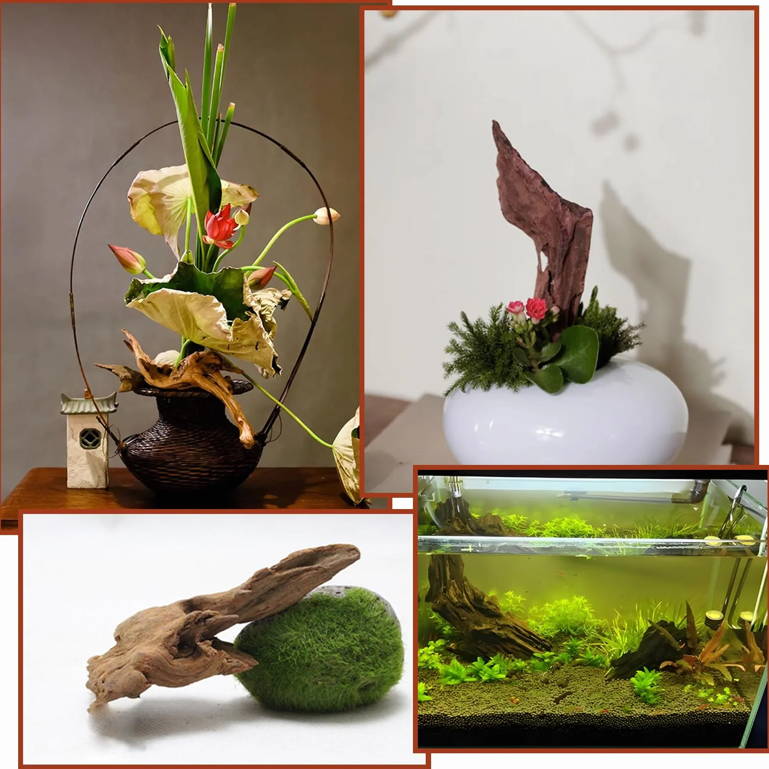Racine Aquarium Bois Naturel Bois Flotté 8-15 CM Decoration Aquarium Décoration D'intérieur
