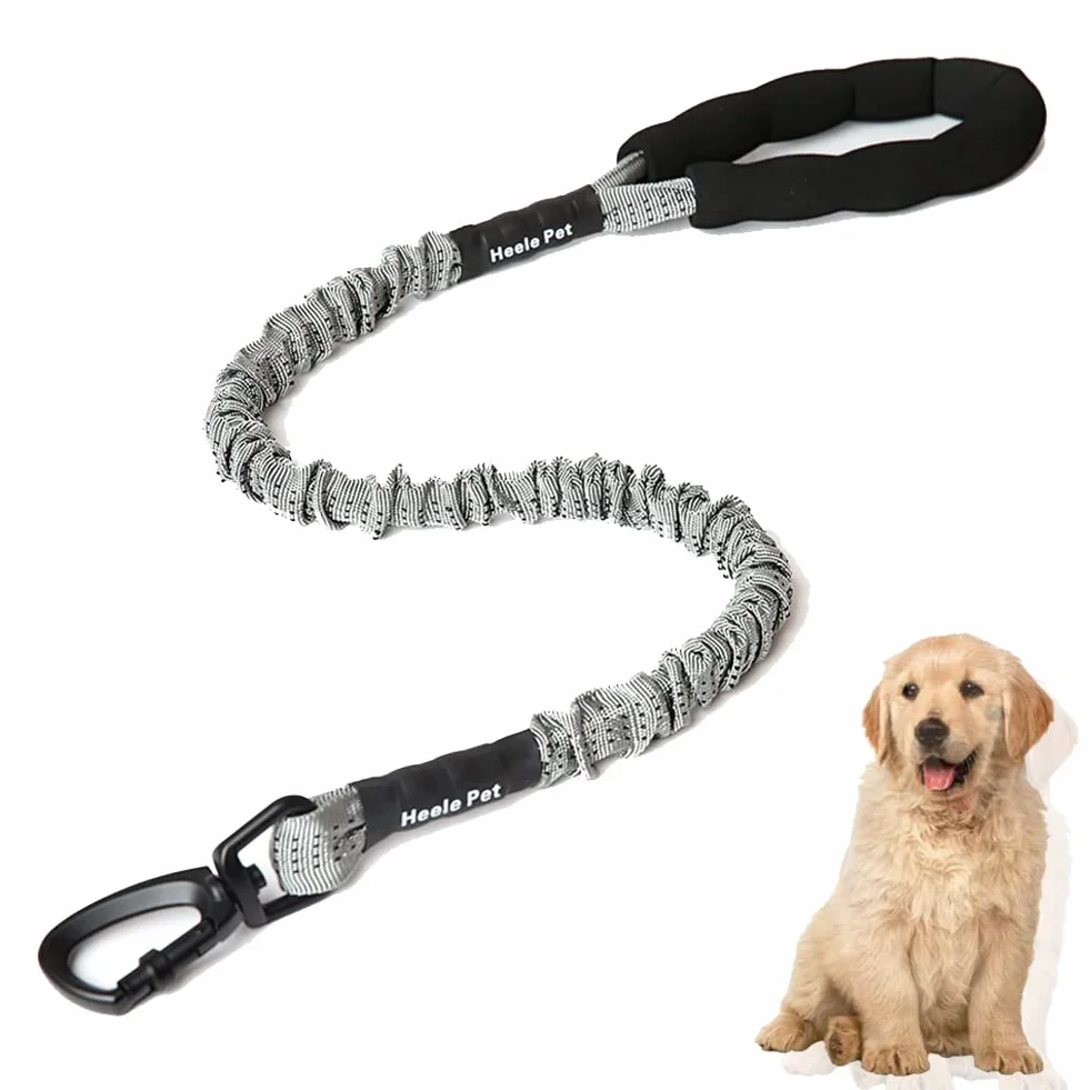Laisse Chien Élastique Nylon Anti Traction Grande Taille avec Poignée Rembourrée