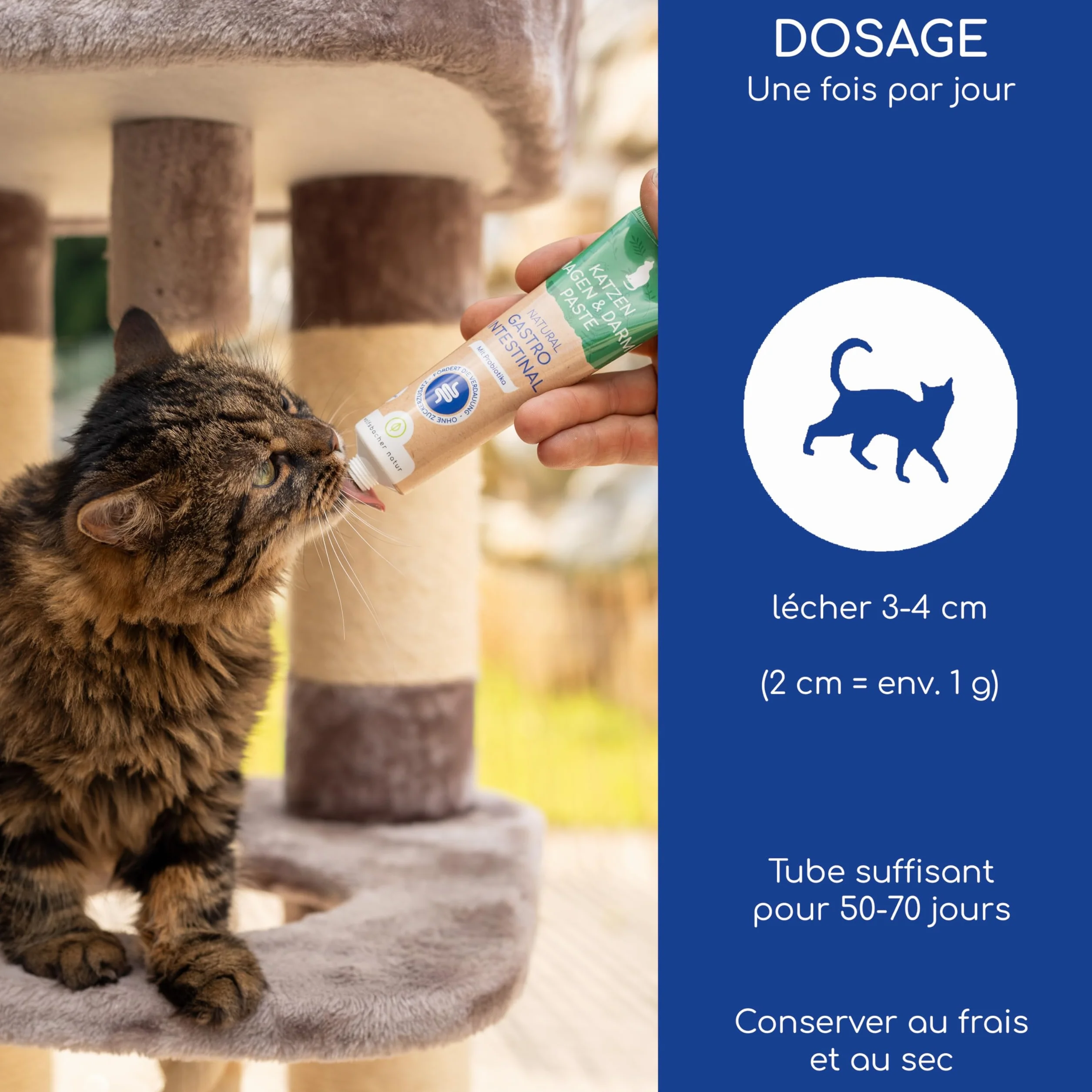Pâte Gastro-Intestinale pour Chats avec Probiotiques & Écorce d'Orme 100g