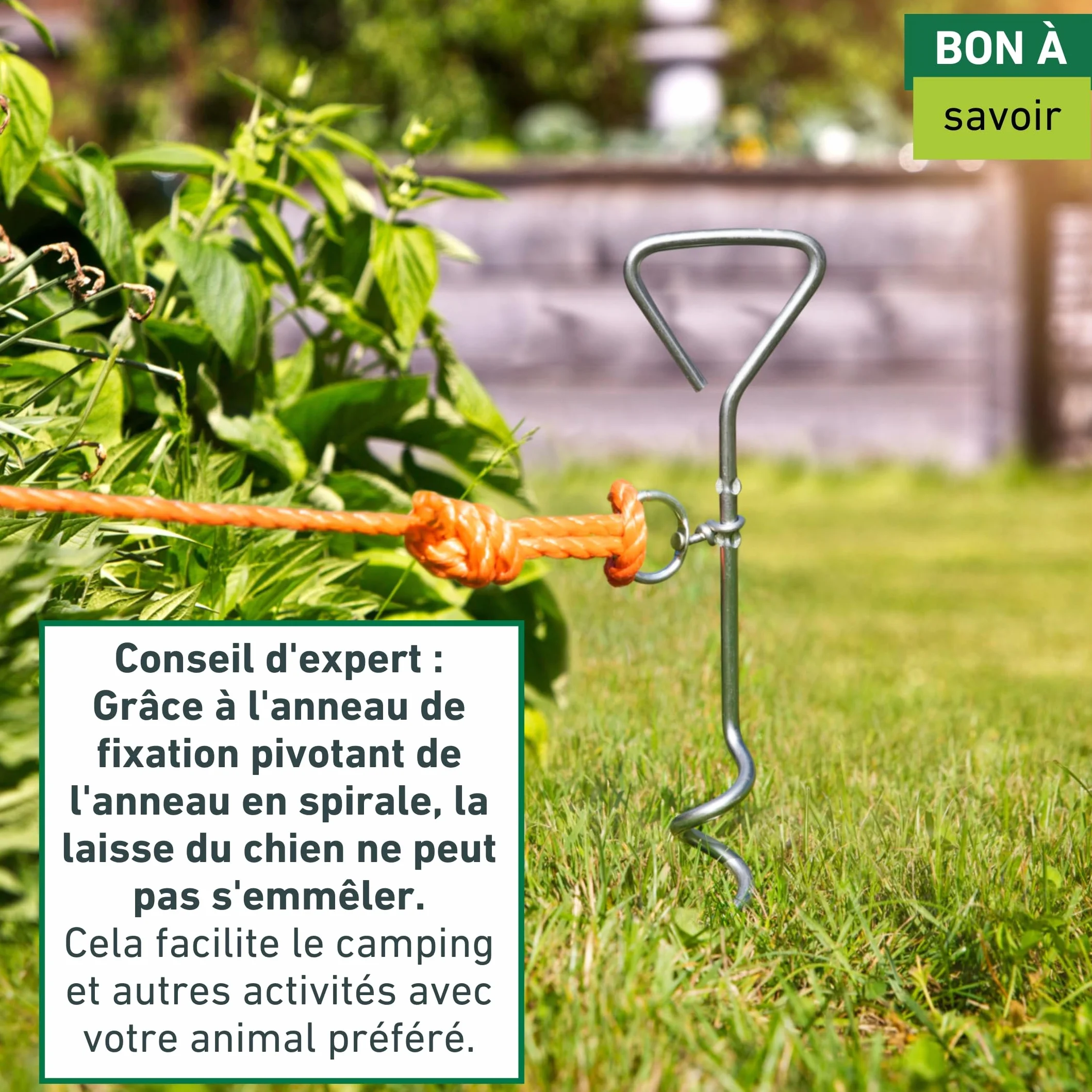 Windhager Piquet d'ancrage au sol en spirale 41 cm x 8 mm pour chien