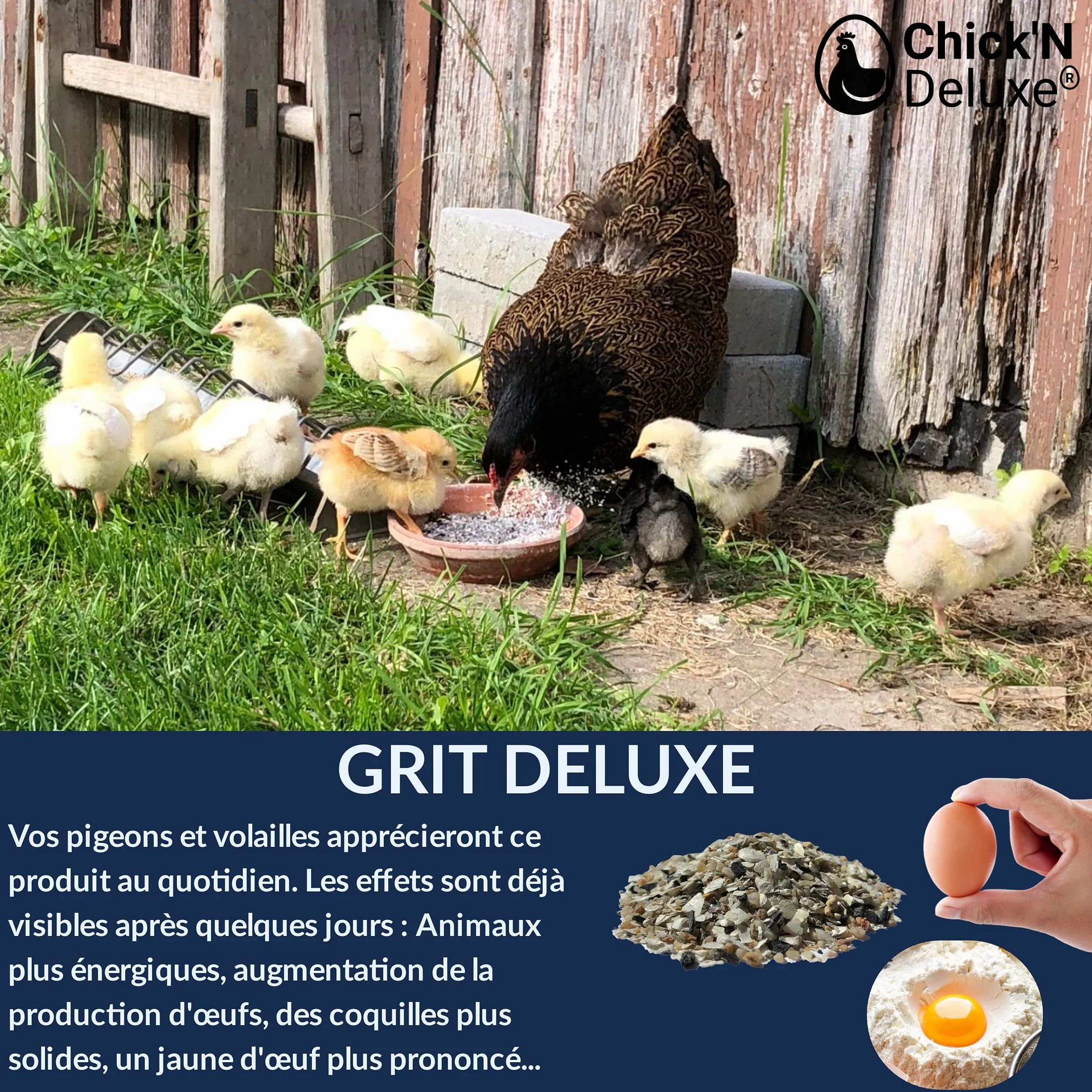 Chick'N Deluxe® Grit Deluxe 5kg Complément Alimentaire Pigeons Volailles Minéraux Charbon Actif Anis Digestion Coquille d'oeuf
