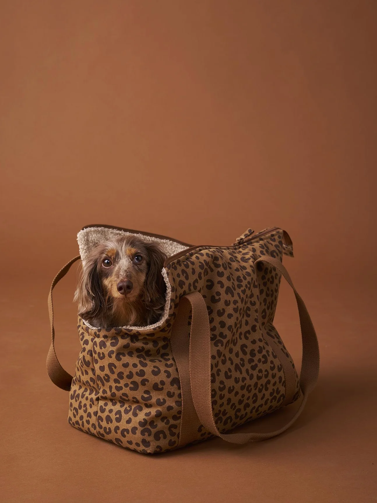 VERTBAUDET Sac de Transport Chat Chien Marron