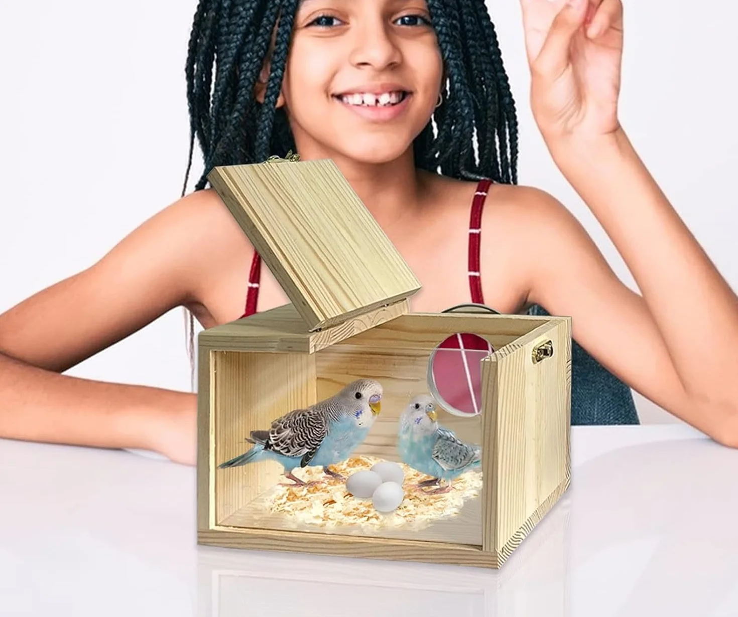 Nichoir pour perruches transparent en bois naturel - Volière pour perruches et perroquets