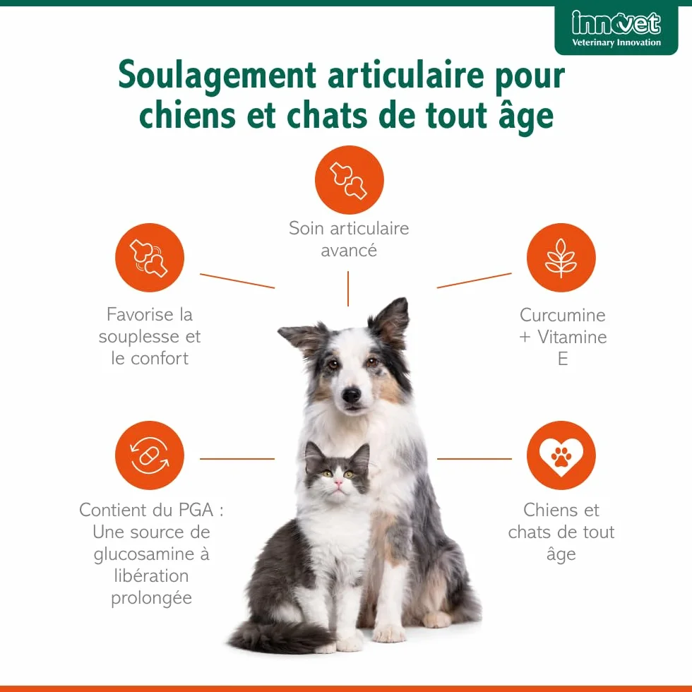 Innovet Glupacur Complément Alimentaire Articulations Chiens Chats Arthrose Mobilité Palmitoylglucosamine Curcumine Vitamine E 30 gélules