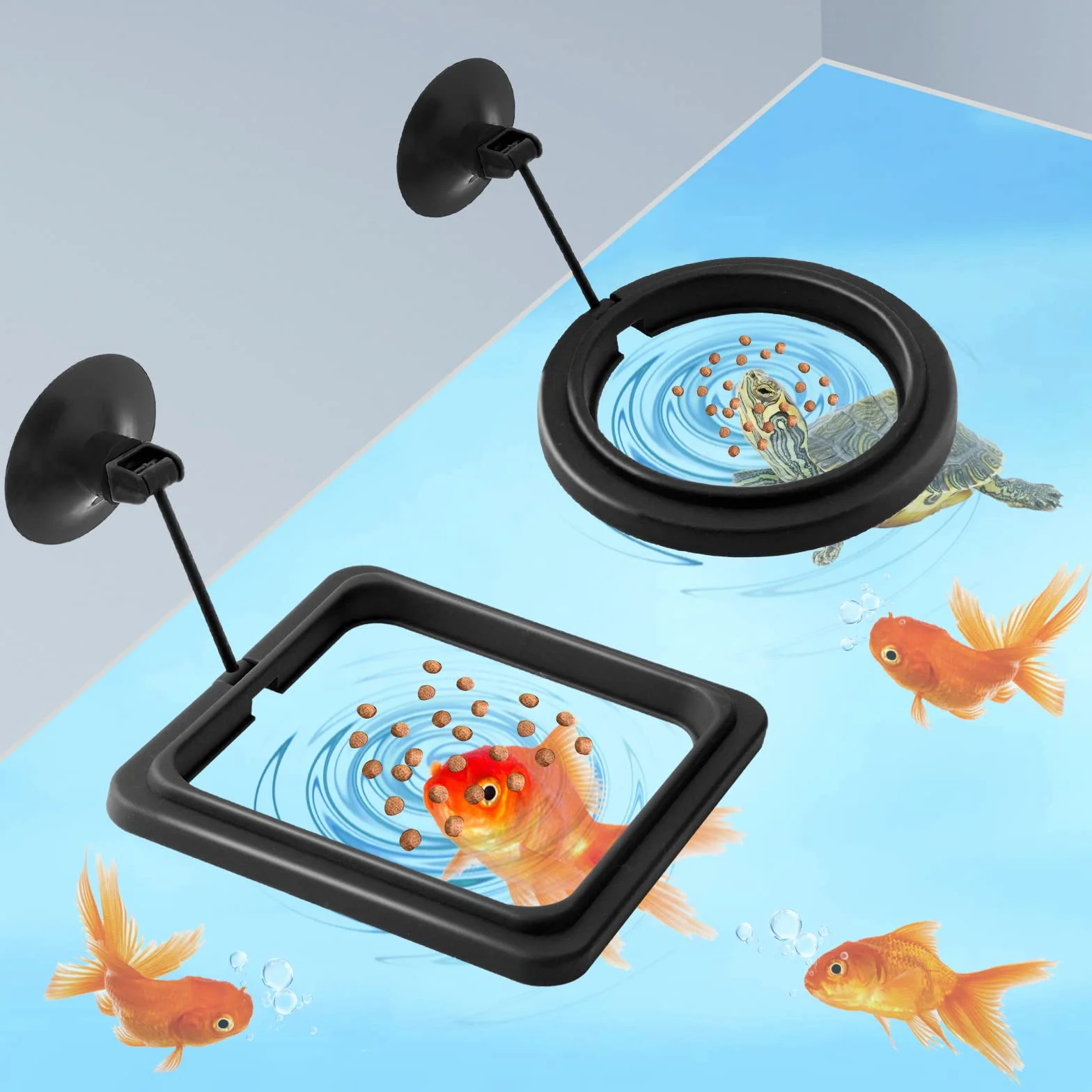 Anneau de Nourriture pour Poissons 2 pièces Distributeur Aquarium Accessoires Tortue Cercle Guppy Bettas Noir