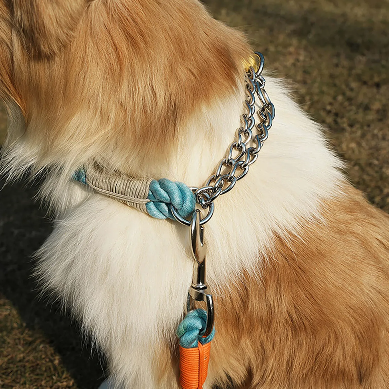 Generic Laisse pour Chien Longue pour Le Contrôle Laisses de Formation pour Grands Chiens Ou Chiens Moyens Corde de Formation Multifonctionnelle
