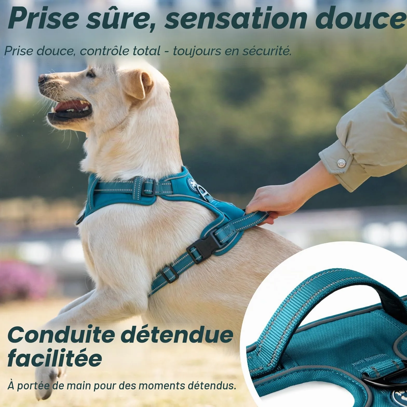 Poypet Harnais pour Chien Réfléchissant Gilet Réglable Doux Poignée Easy Control Bleu Sarcelle Taille S