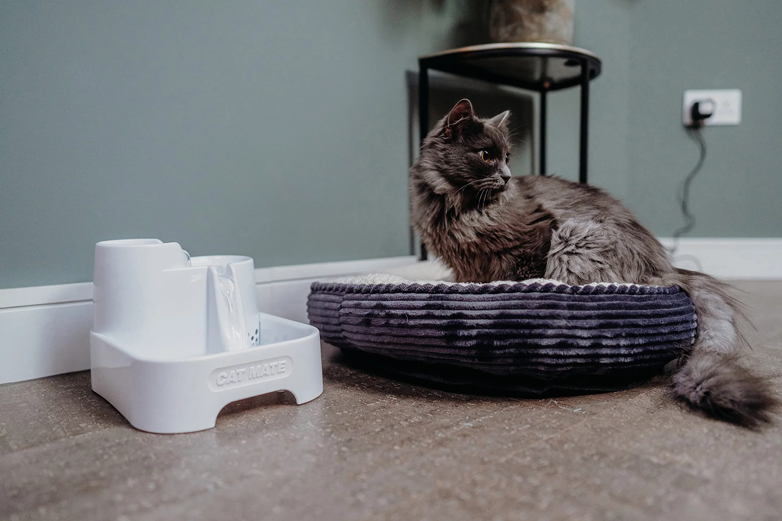 Cat Mate Fontaine à Eau pour Chats et Petits Chiens 2 Litres Blanc