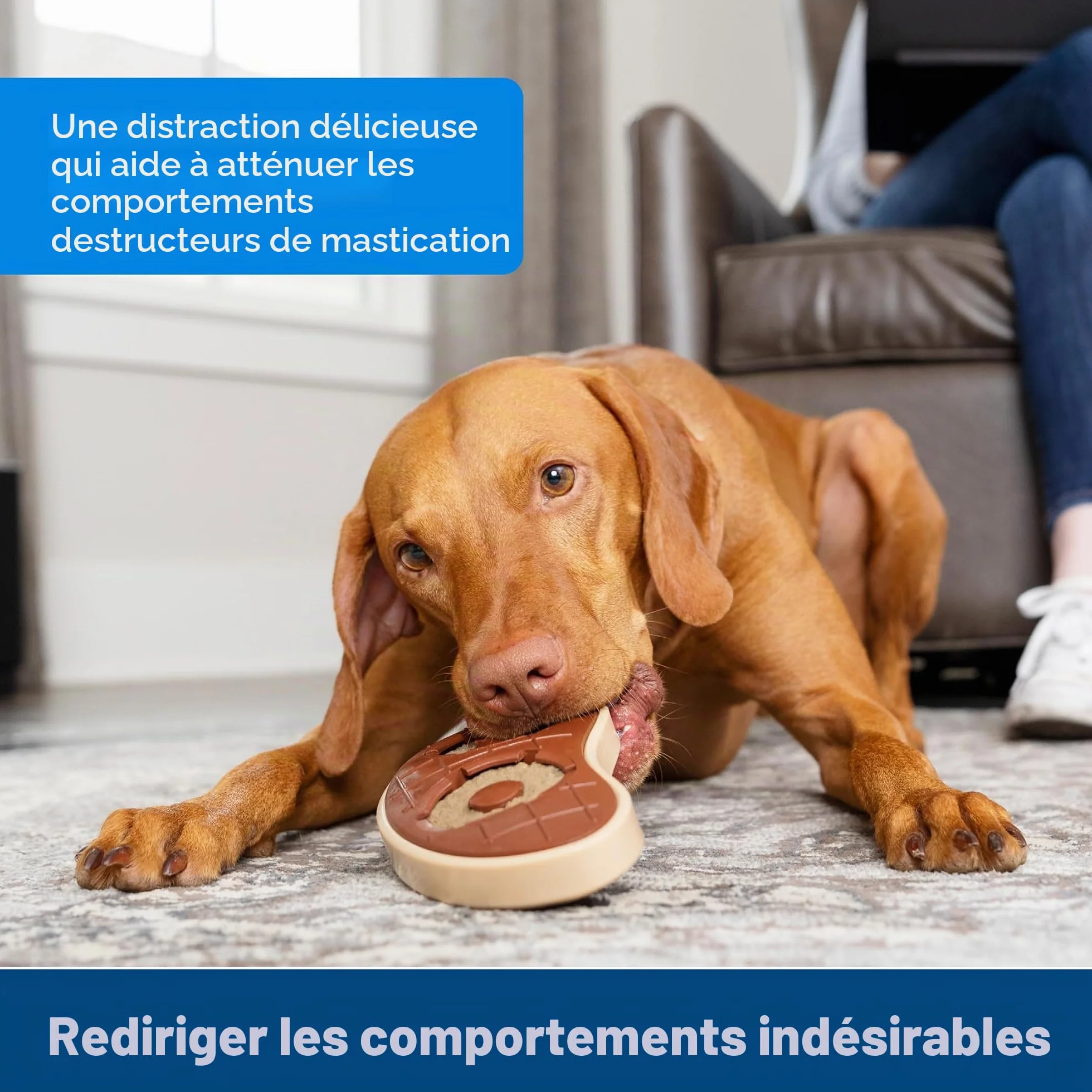 PetSafe Anneaux Friandises Peau Bœuf Jouet Busy Buddy Chien 16 Pièces Taille B