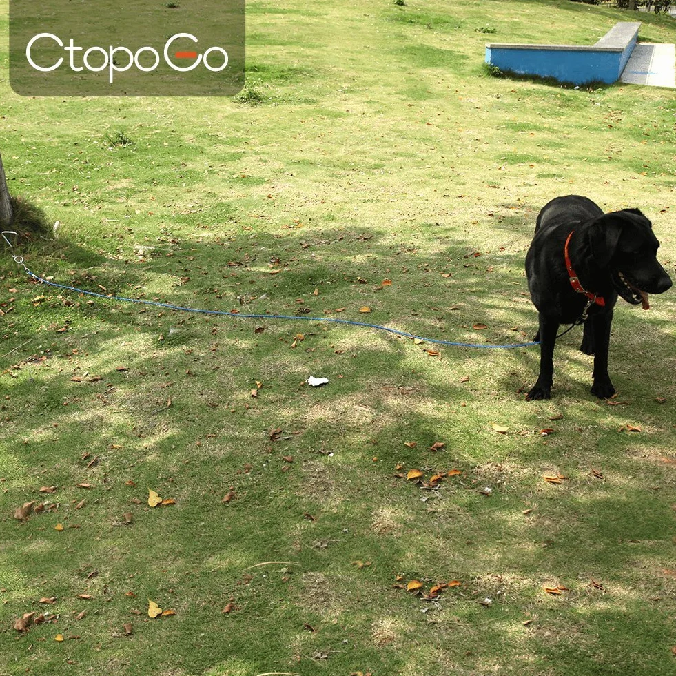 Câble d'attache pour chiens 5m Bleu pour petit moyen taille