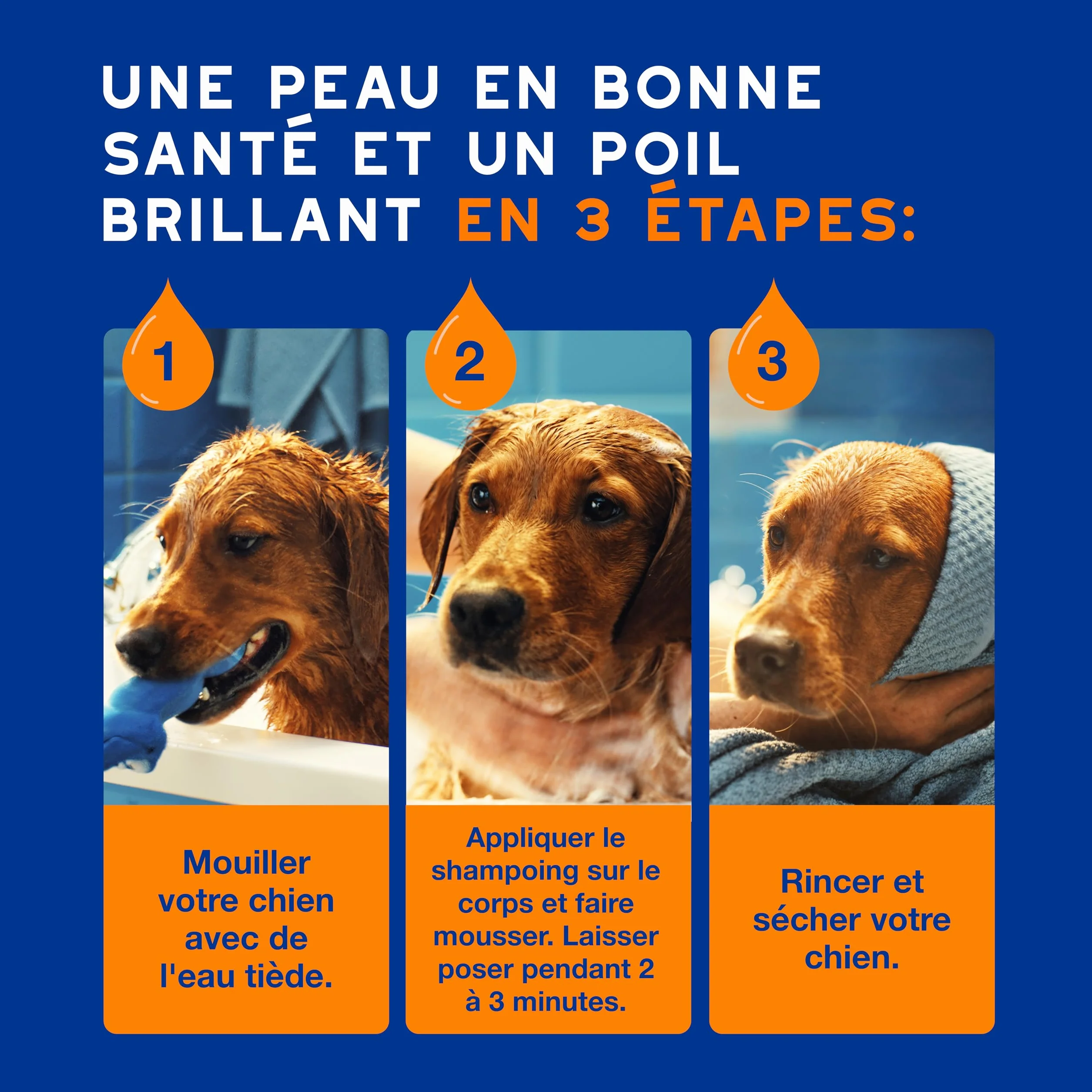 DOUXO Skin & Coat Spa - Ultra-Safe Shampoing 2 en 1 démêlant pour Chiens, 250 ML, nettoie et Hydrate en Profondeur la Peau et Le Poil, Laisse Le Pelage Doux, Soyeux et démêlé, respecte la Peau.