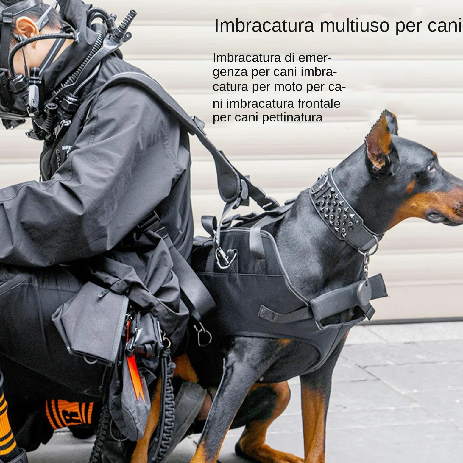 Câblage de support de chien professionnel pour la mobilité de levage | harnais pour animaux de compagnie pour assistance à la récupération | Vecteur thoracique réglable pour grands canins | Oxfo