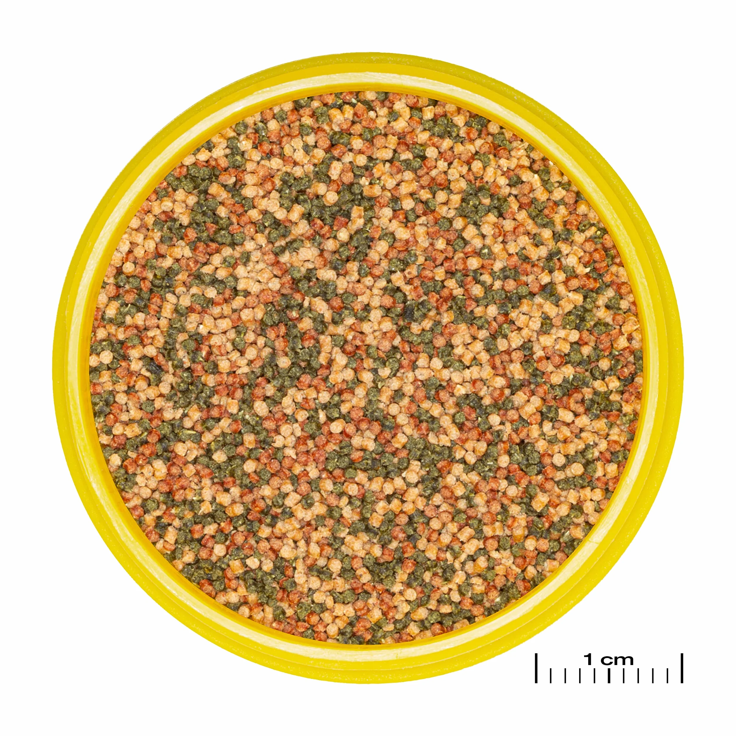 JBL PRONOVO BEL GRANO Aliment de Base pour Poissons d'Aquarium 3-10 cm Granulés Doseur à clic Taille S 100 ml