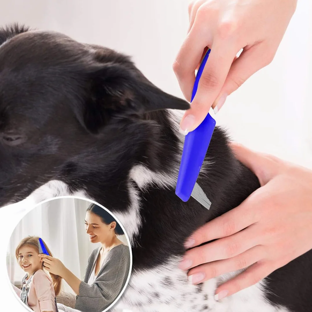 5 Pièces peignes anti-puces en acier inoxydable avec dents arrondies pour chats et chats, Peigne anti puces pour chat, peigne à poils épais, peigne à dents fines pour chien et chat