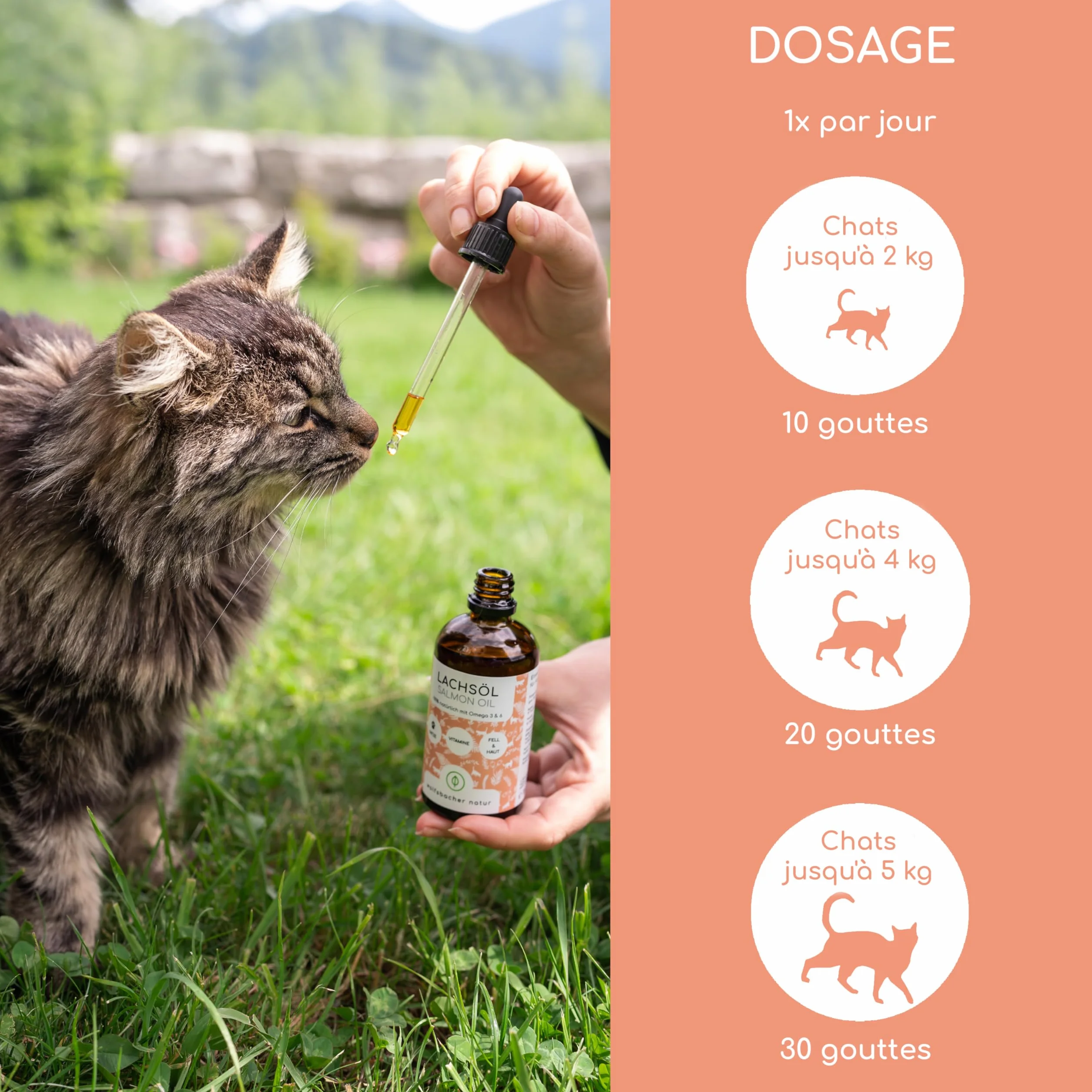 Huile de Saumon Norvégien pour Chats Oméga 3 & 6 100ml Complément Hautement Dosé