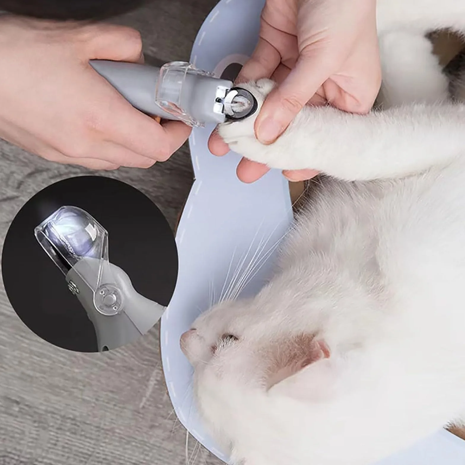 PawThentic Coupe-Ongles pour Animaux de Compagnie LED Loupe PréciseClip 2 Pièces
