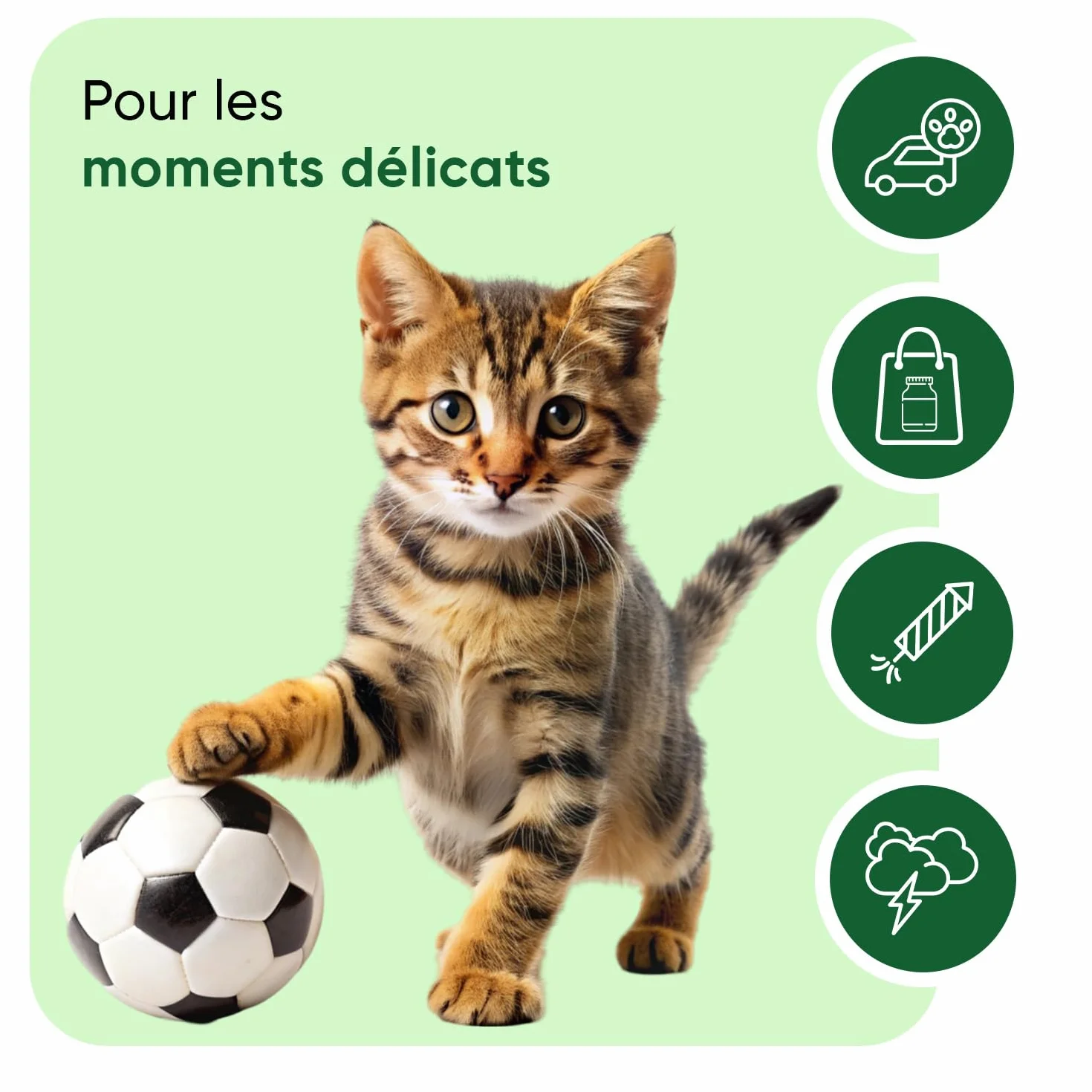 Animigo Calmant Chat 120 Friandises Bouchées Tendres Taurine Ashwagandha Passiflore Mélisse Vitamine B1 Magnésium