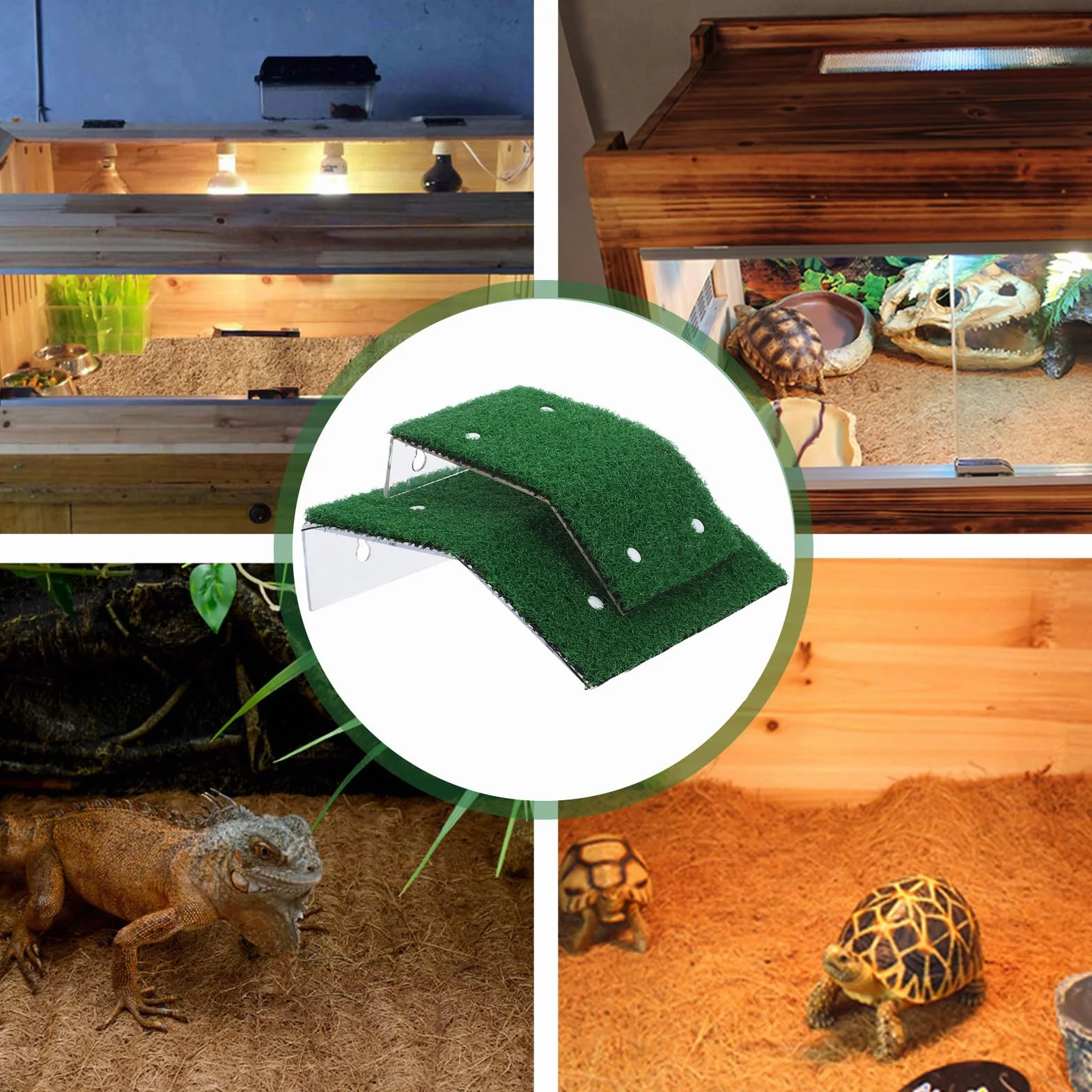 Rampe de Sauvetage Piscine pour Animaux Domestiques, 2 Pièces Ventouses Solides, Anti-Glisse, Adaptée aux Chats et Petits Chiens