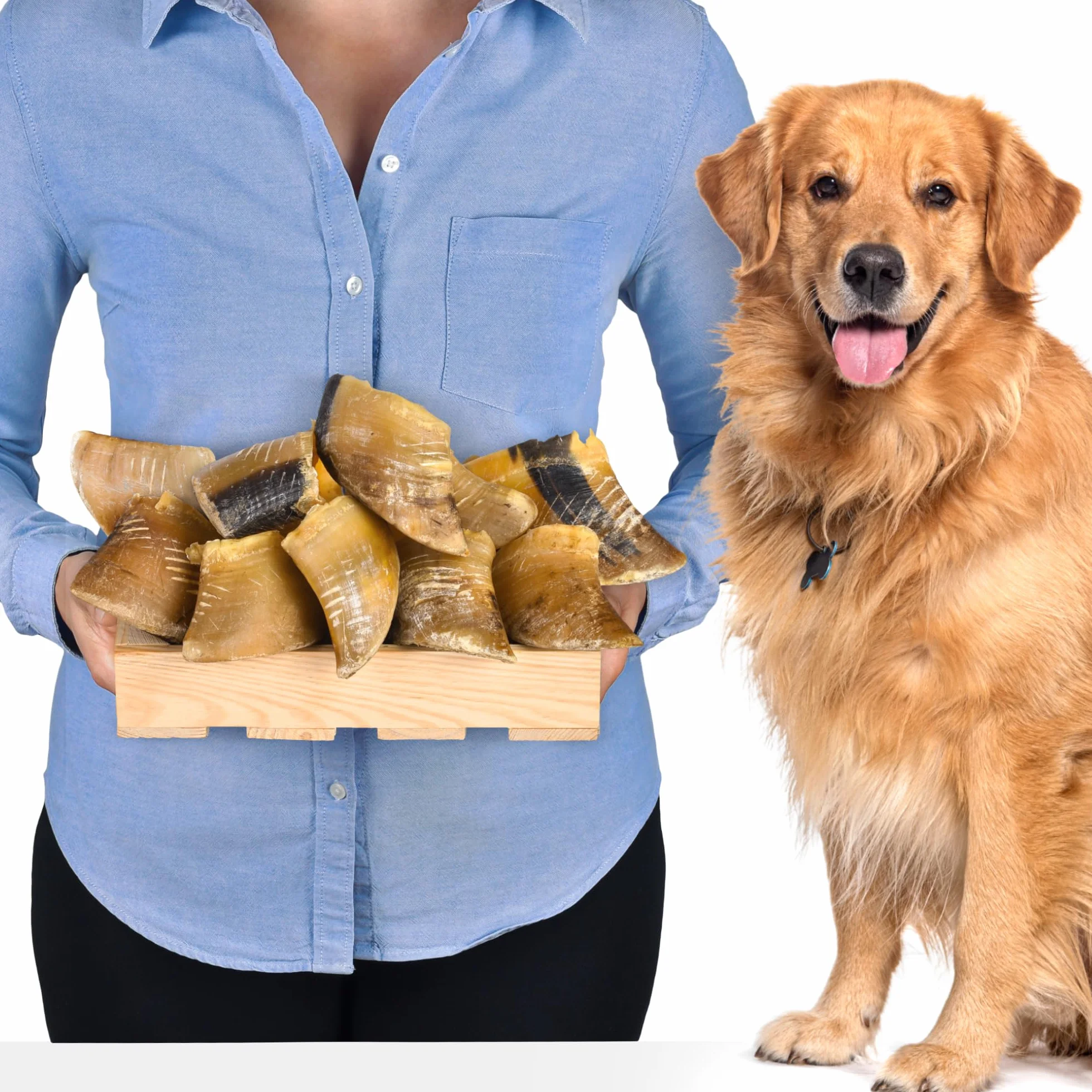 Sabots de bœuf pour Chiens 10 pièces 1kg Friandises Naturelles à mâcher sans additifs ni colorants Soin Dentaire Longue durée