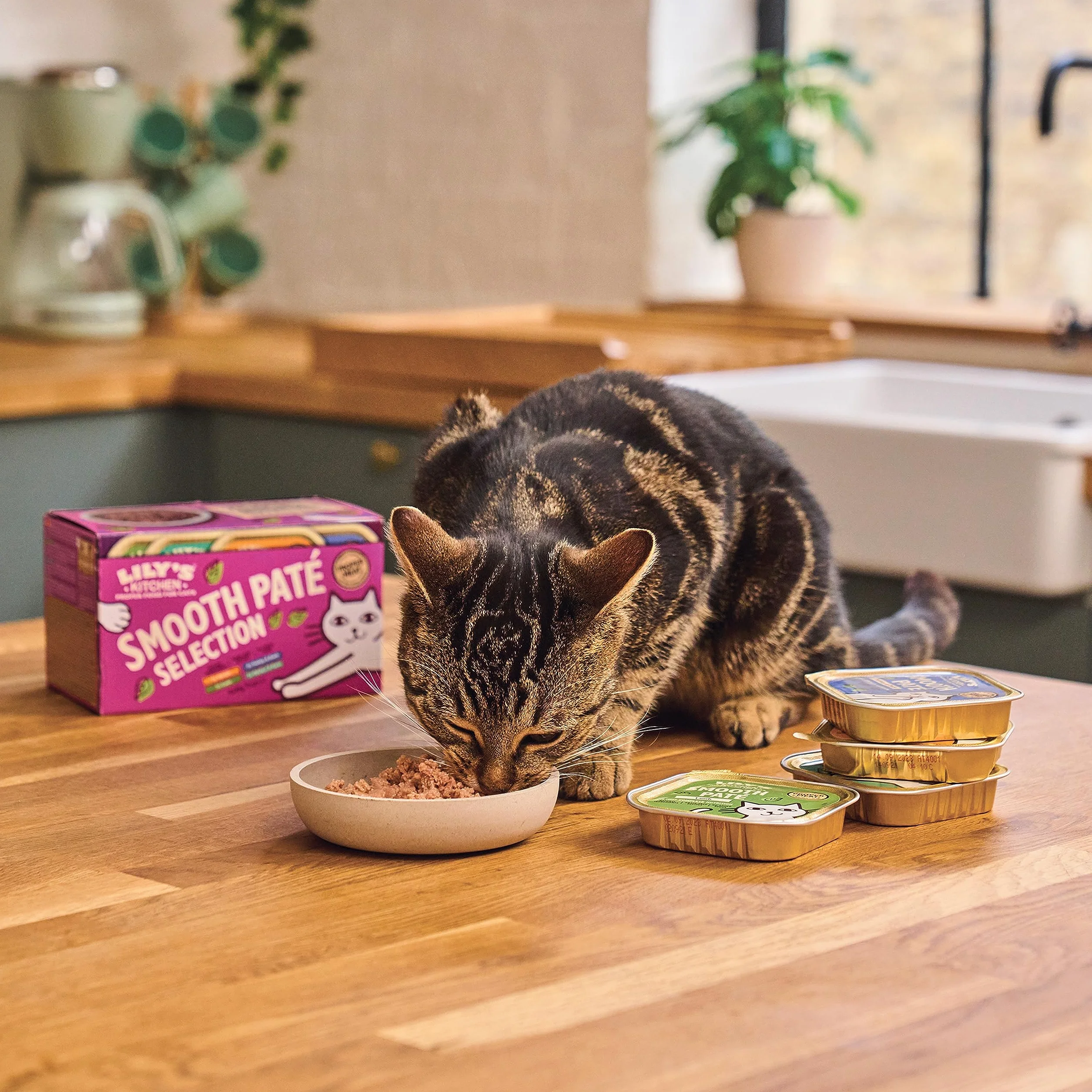 Lily's Kitchen Pâtée moelleuse naturelle en barquette pour chats adultes, recettes sans céréales, multipack (32 x 85g barquettes)