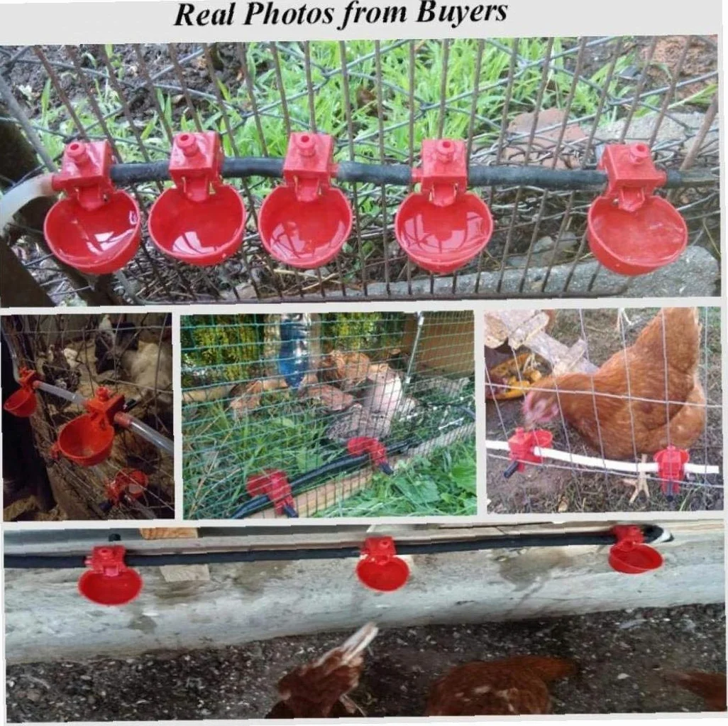 Abreuvoir pour Poulailler Poules Oiseaux 10set