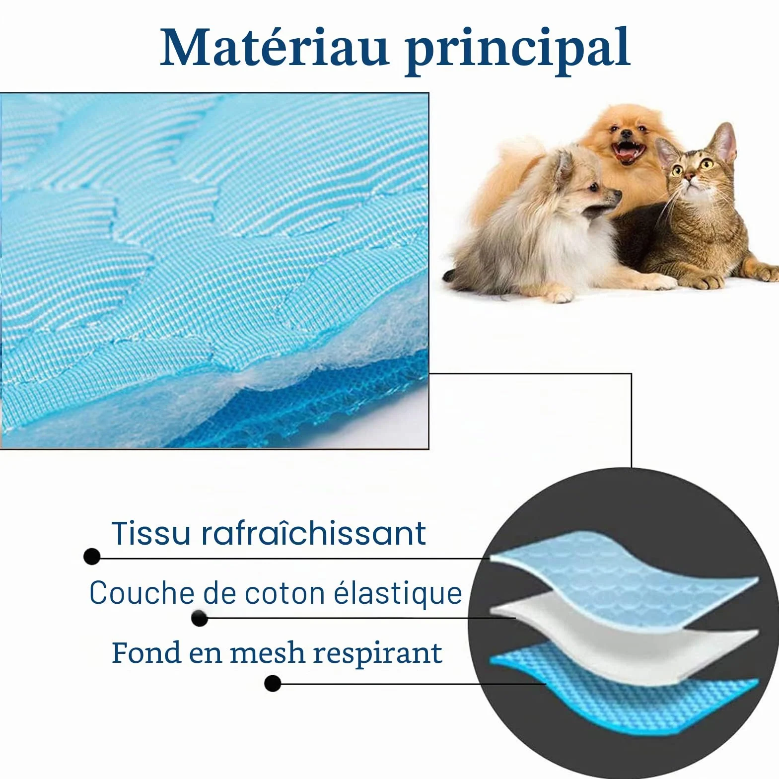 Tapis rafraîchissant pour Chien 100x70 cm Auto-rafraîchissant XL